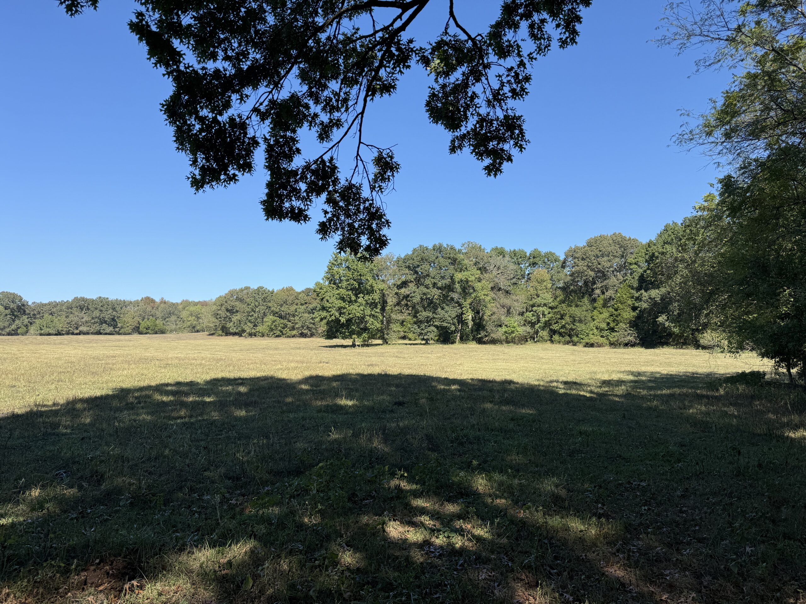 HOME AND WATERFRONT ACREAGE FOR SALE IN ARKANSAS