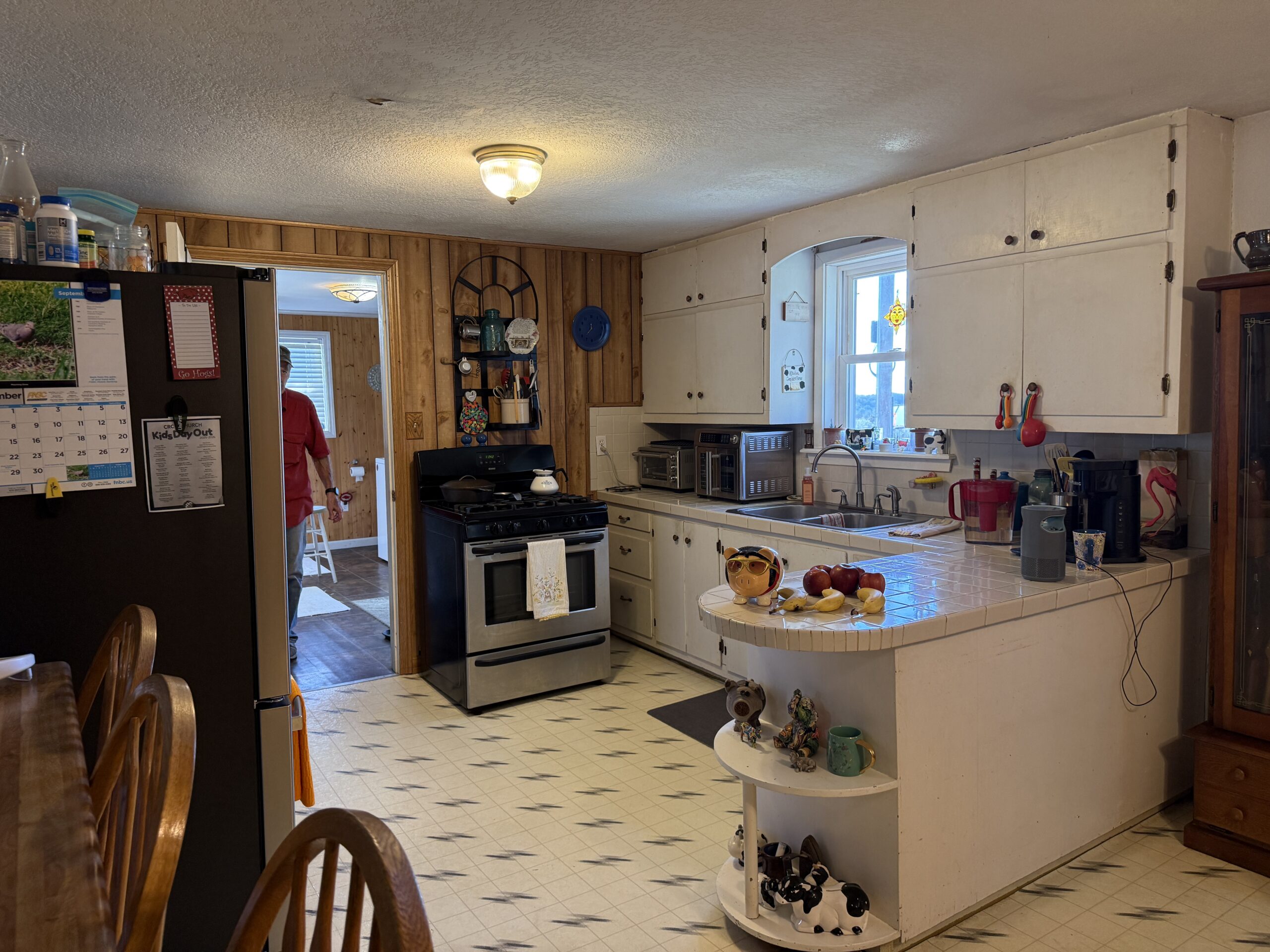 HOME AND WATERFRONT ACREAGE FOR SALE IN ARKANSAS