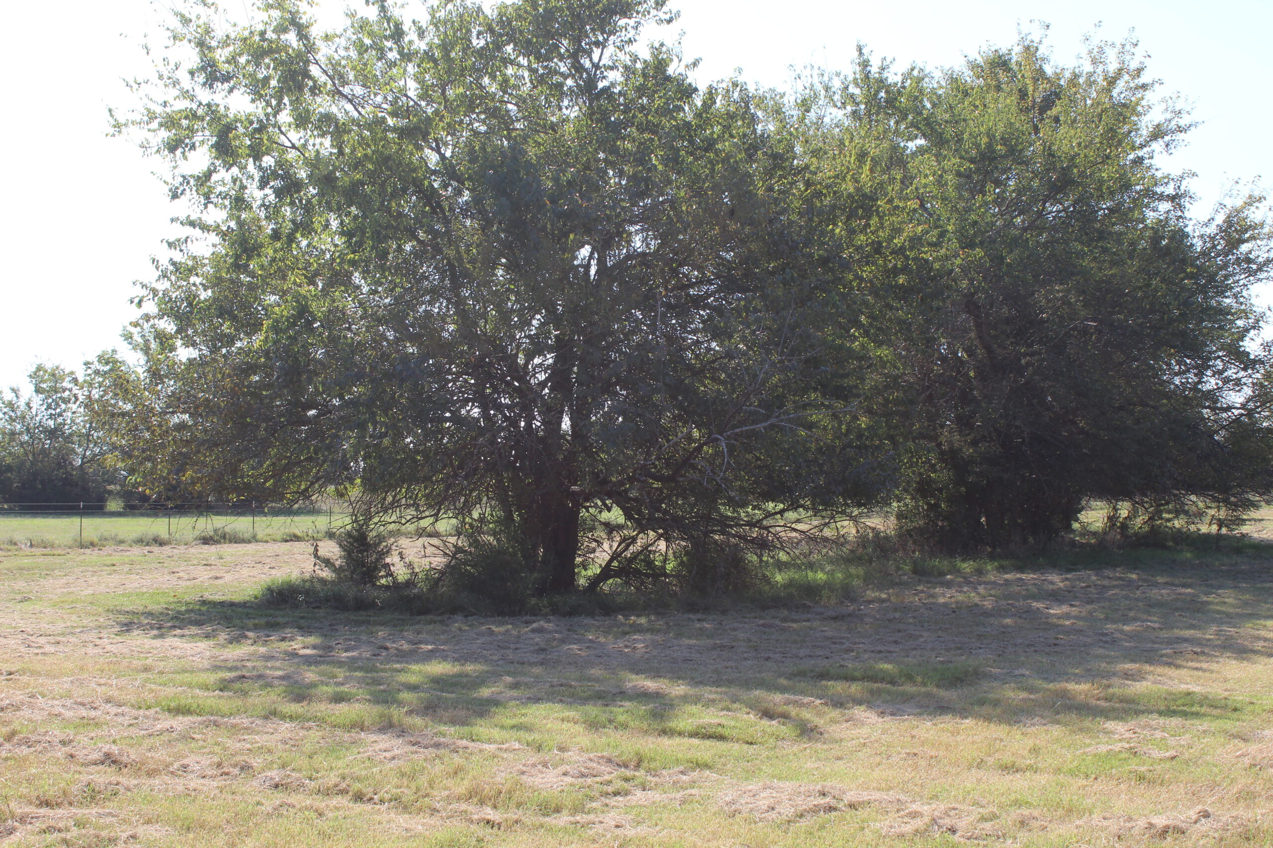 43 Acres for Sale on Pritchard Road, Just Off Hwy 22 North of Bokchito, Oklahoma – Creek, Hunting, and Country Estate Potential