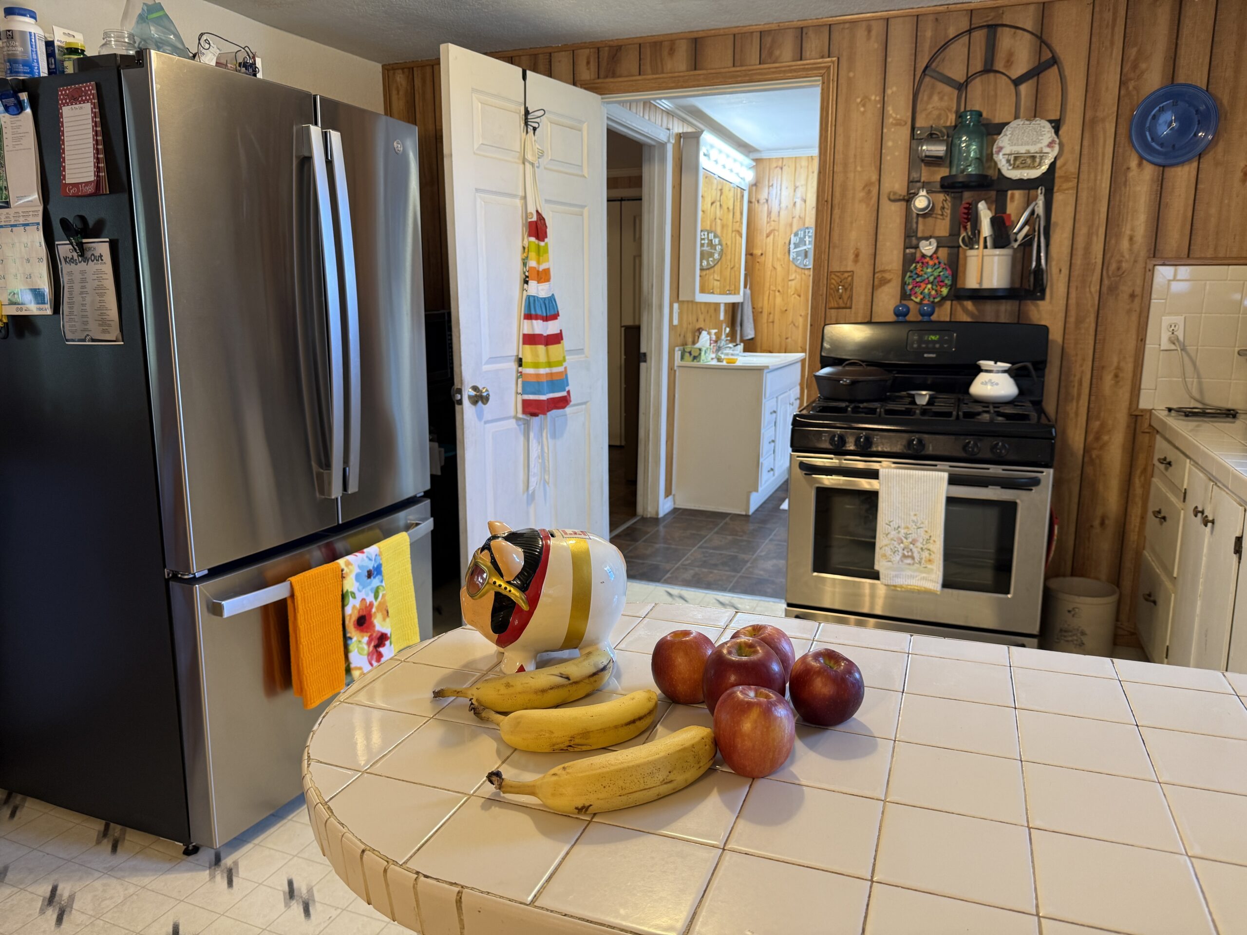 HOME AND WATERFRONT ACREAGE FOR SALE IN ARKANSAS
