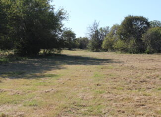 43 Acres for Sale on Pritchard Road, Just Off Hwy 22 North of Bokchito, Oklahoma – Creek, Hunting, and Country Estate Potential