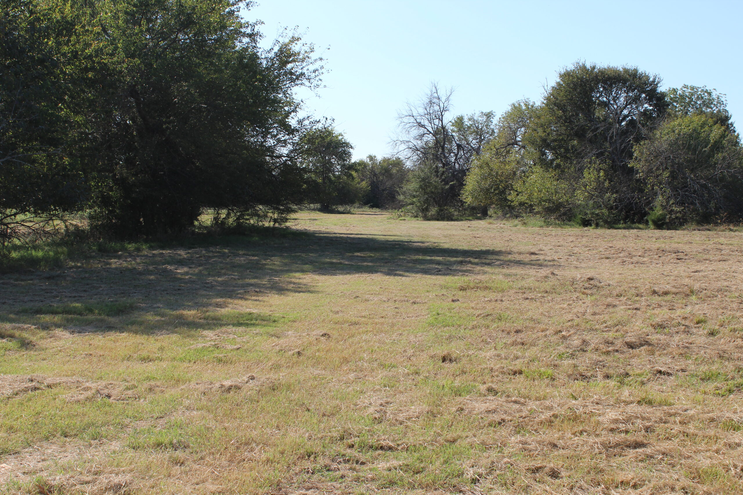 43 Acres for Sale on Pritchard Road, Just Off Hwy 22 North of Bokchito, Oklahoma – Creek, Hunting, and Country Estate Potential