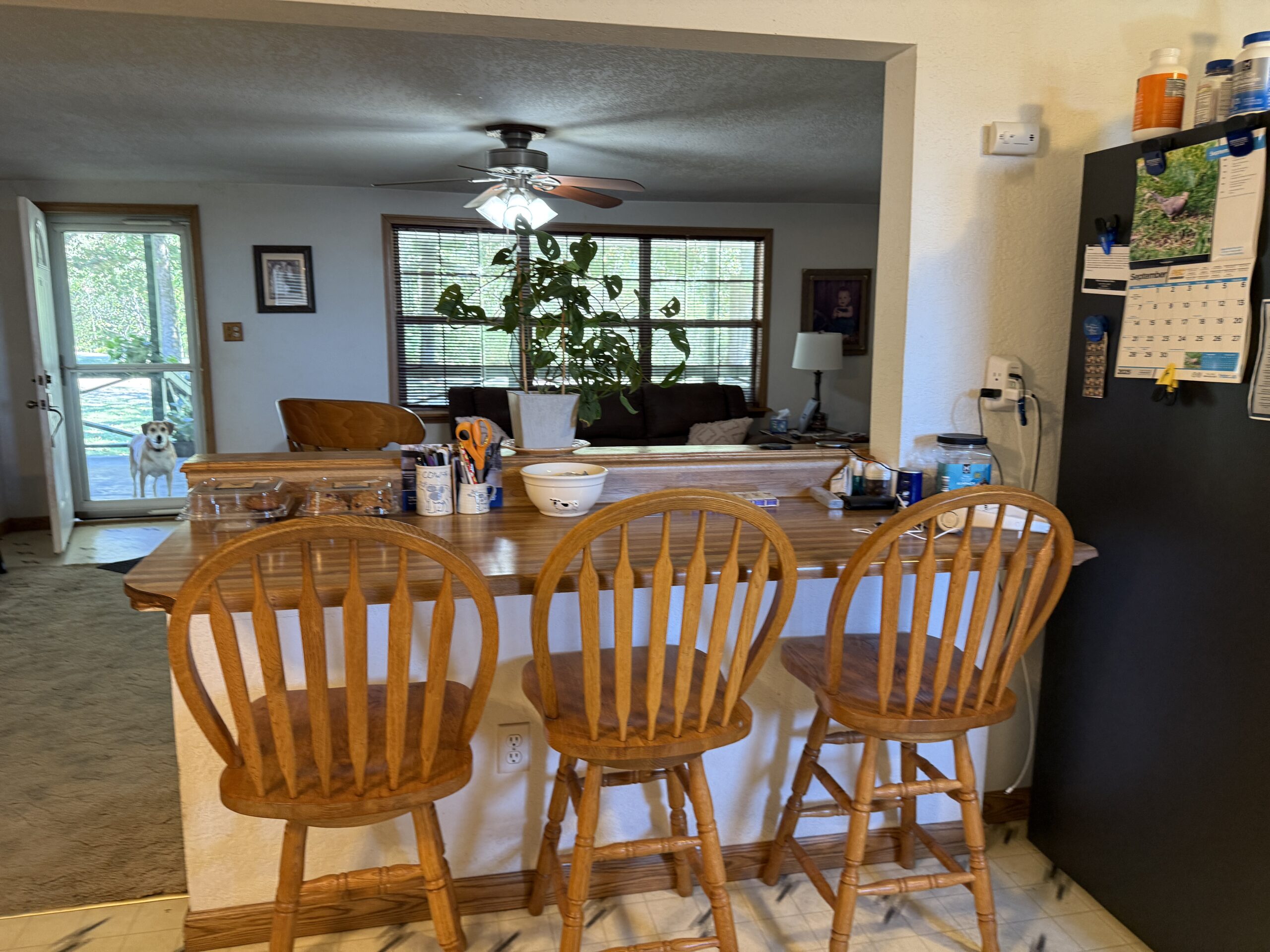 HOME AND WATERFRONT ACREAGE FOR SALE IN ARKANSAS