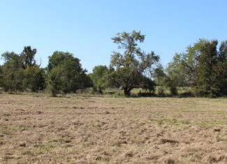 43 Acres for Sale on Pritchard Road, Just Off Hwy 22 North of Bokchito, Oklahoma – Creek, Hunting, and Country Estate Potential