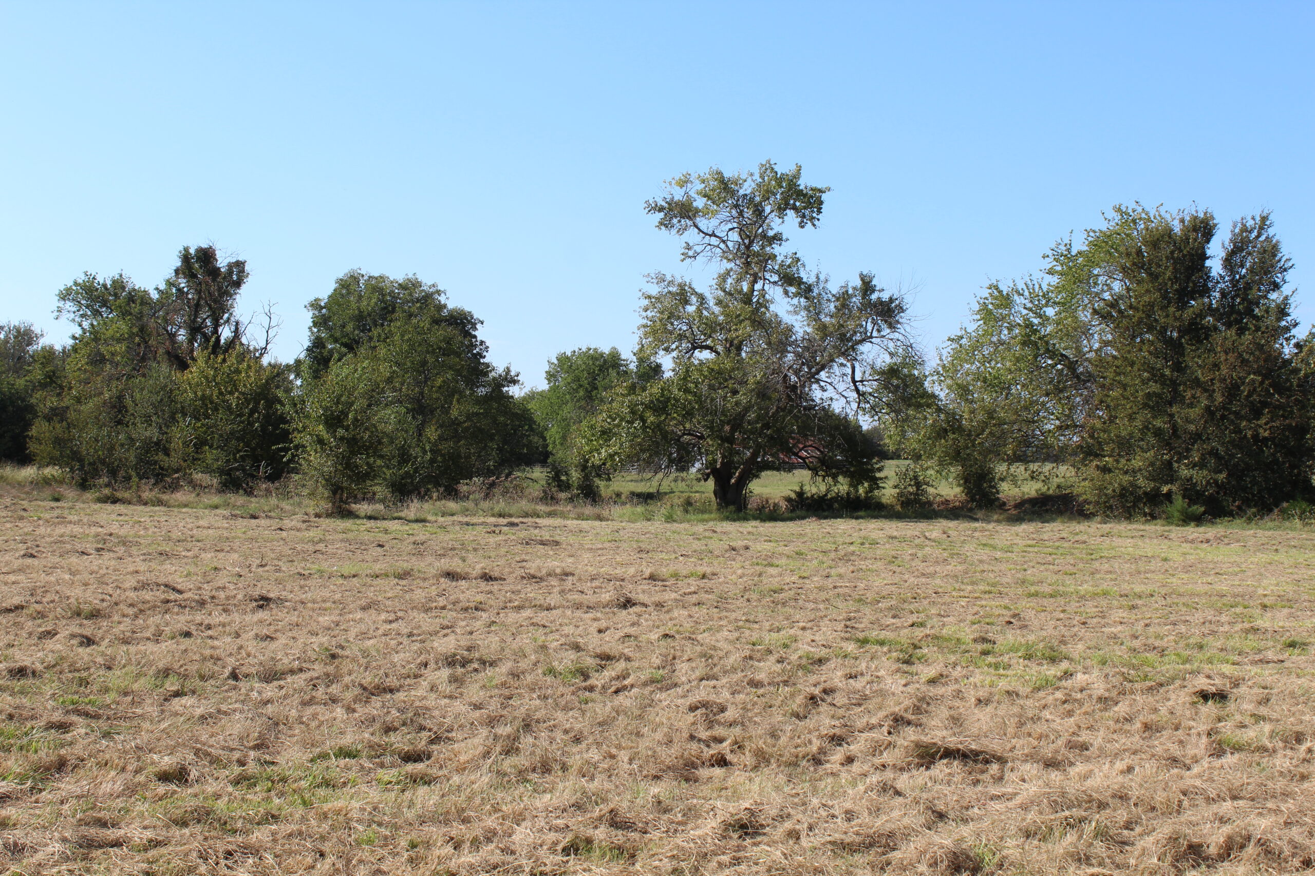 43 Acres for Sale on Pritchard Road, Just Off Hwy 22 North of Bokchito, Oklahoma – Creek, Hunting, and Country Estate Potential