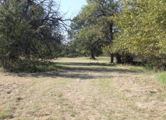 43 Acres for Sale on Pritchard Road, Just Off Hwy 22 North of Bokchito, Oklahoma – Creek, Hunting, and Country Estate Potential