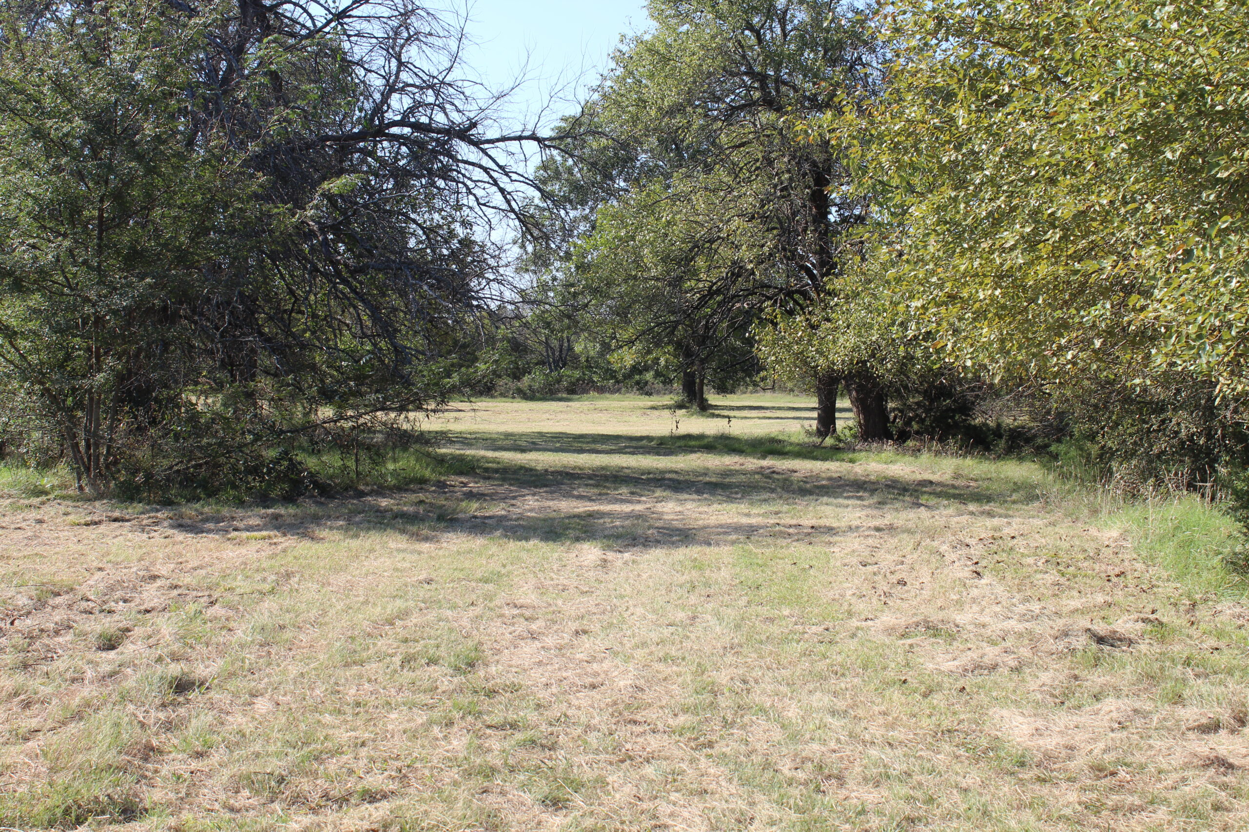 43 Acres for Sale on Pritchard Road, Just Off Hwy 22 North of Bokchito, Oklahoma – Creek, Hunting, and Country Estate Potential