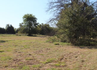 43 Acres for Sale on Pritchard Road, Just Off Hwy 22 North of Bokchito, Oklahoma – Creek, Hunting, and Country Estate Potential