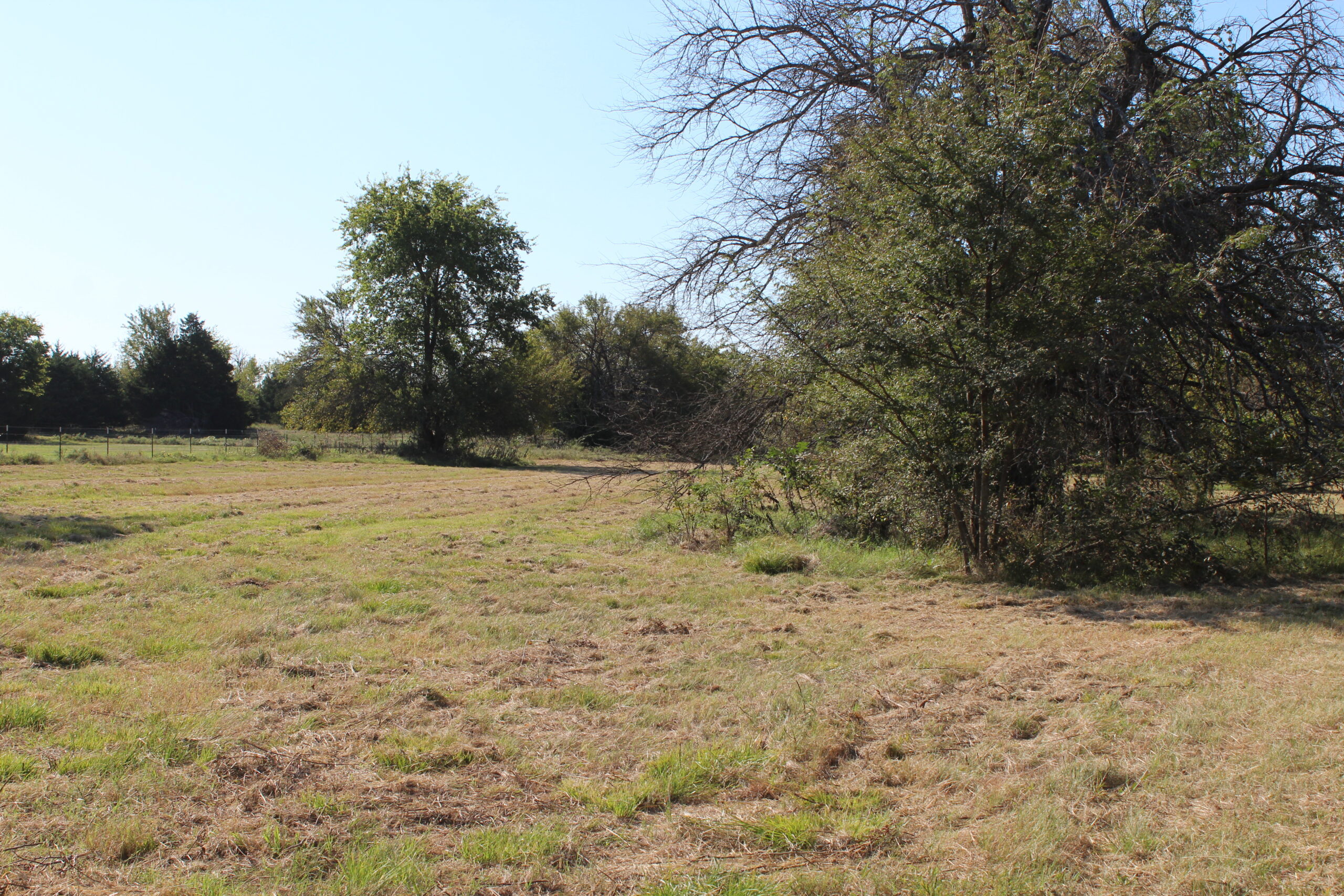43 Acres for Sale on Pritchard Road, Just Off Hwy 22 North of Bokchito, Oklahoma – Creek, Hunting, and Country Estate Potential
