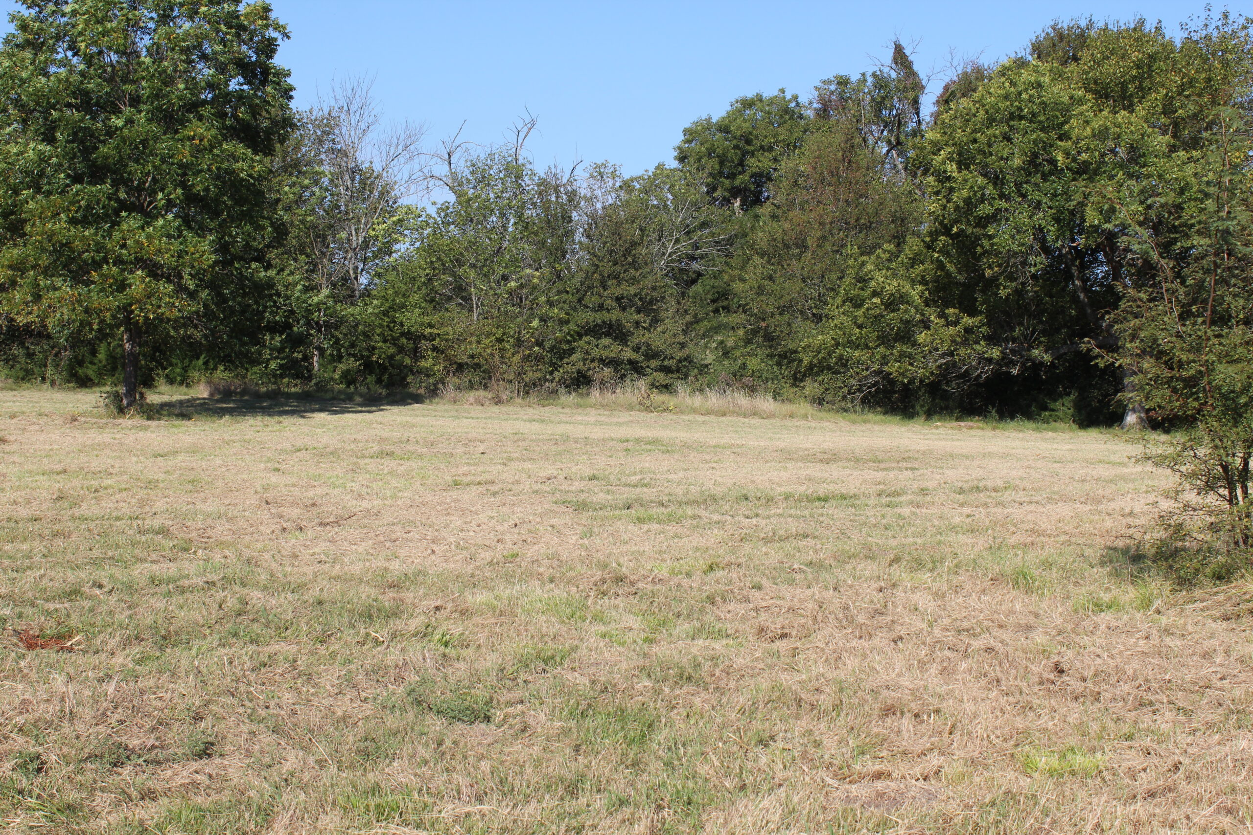 43 Acres for Sale on Pritchard Road, Just Off Hwy 22 North of Bokchito, Oklahoma – Creek, Hunting, and Country Estate Potential