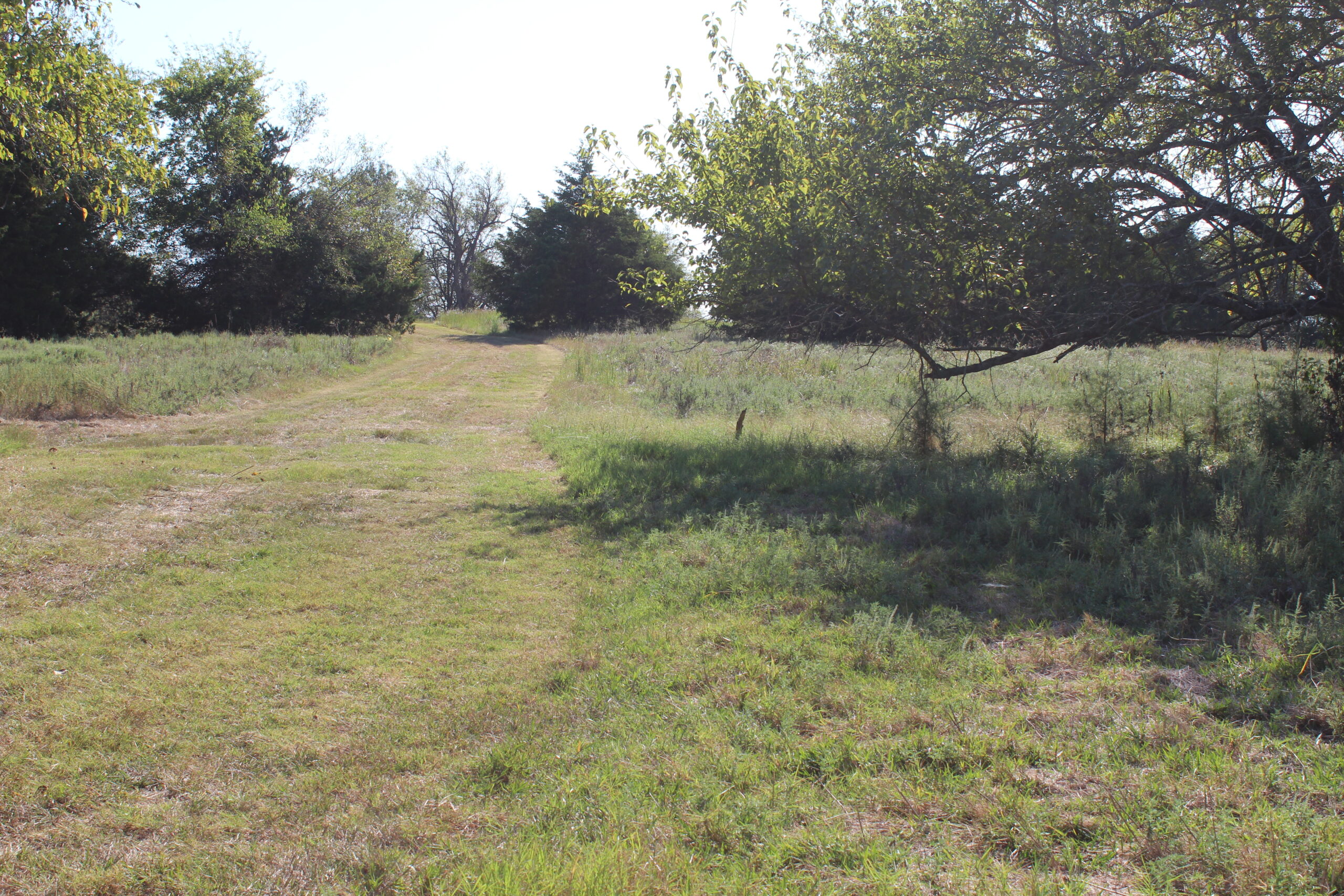 43 Acres for Sale on Pritchard Road, Just Off Hwy 22 North of Bokchito, Oklahoma – Creek, Hunting, and Country Estate Potential