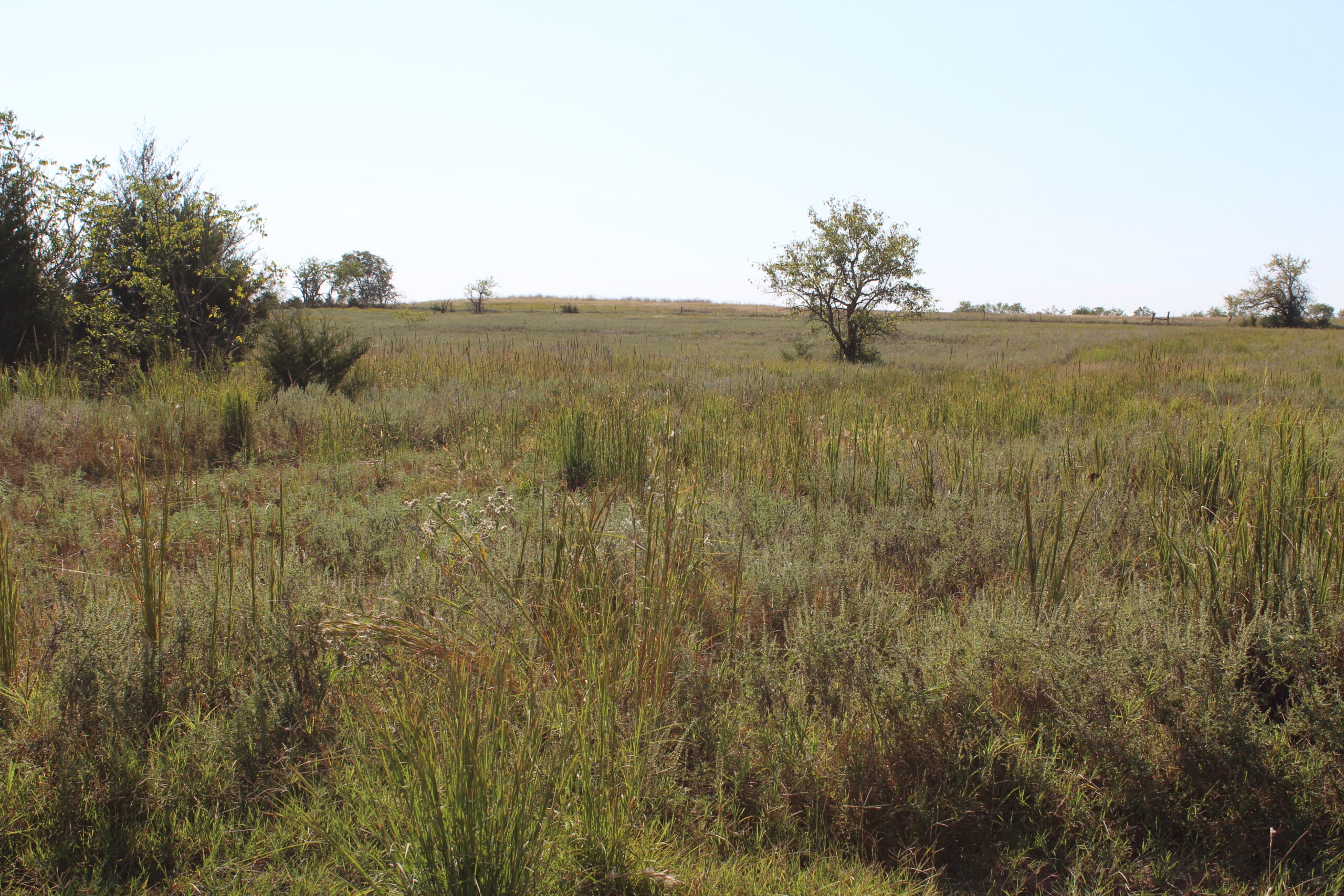 43 Acres for Sale on Pritchard Road, Just Off Hwy 22 North of Bokchito, Oklahoma – Creek, Hunting, and Country Estate Potential