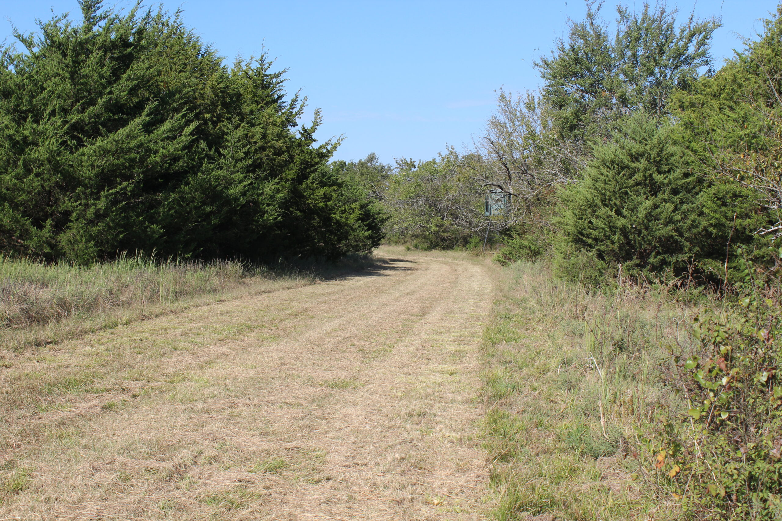 43 Acres for Sale on Pritchard Road, Just Off Hwy 22 North of Bokchito, Oklahoma – Creek, Hunting, and Country Estate Potential