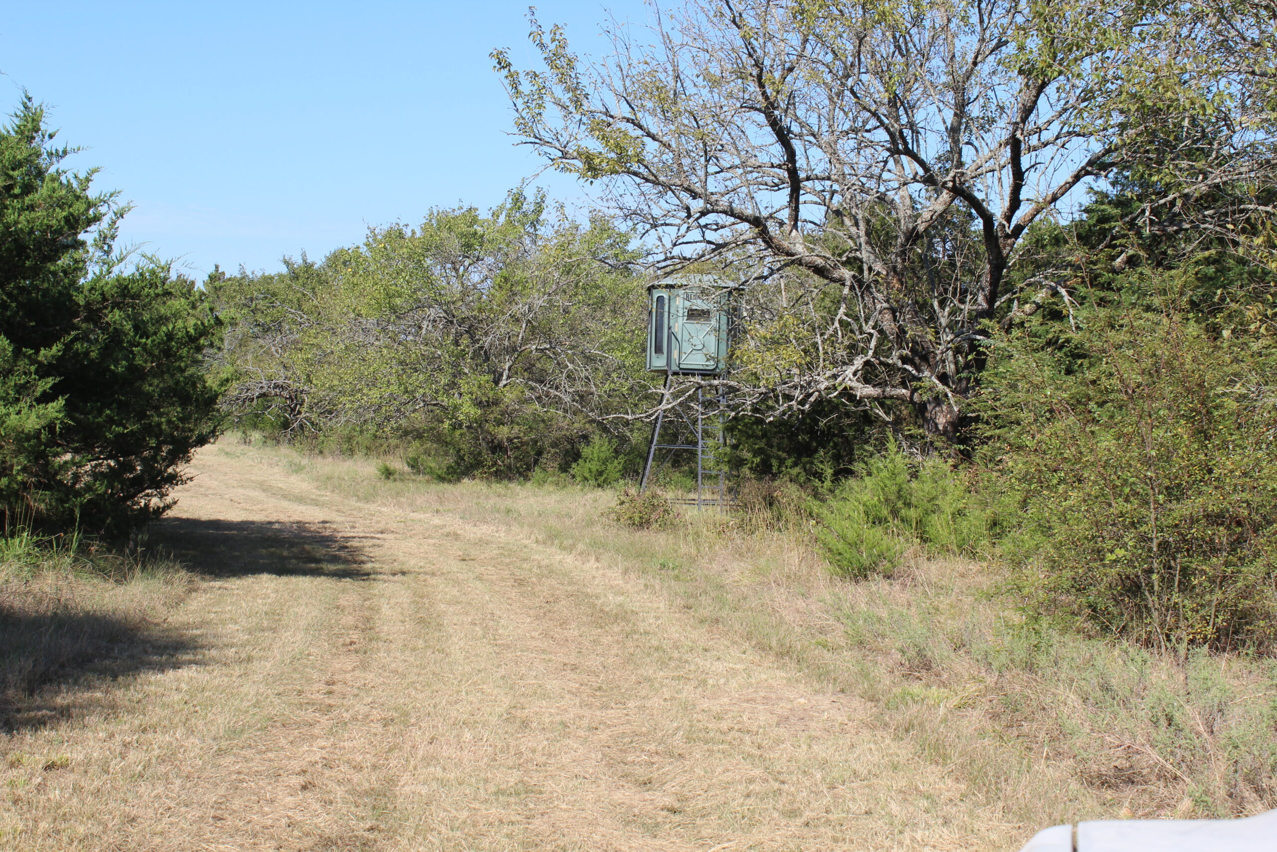 43 Acres for Sale on Pritchard Road, Just Off Hwy 22 North of Bokchito, Oklahoma – Creek, Hunting, and Country Estate Potential