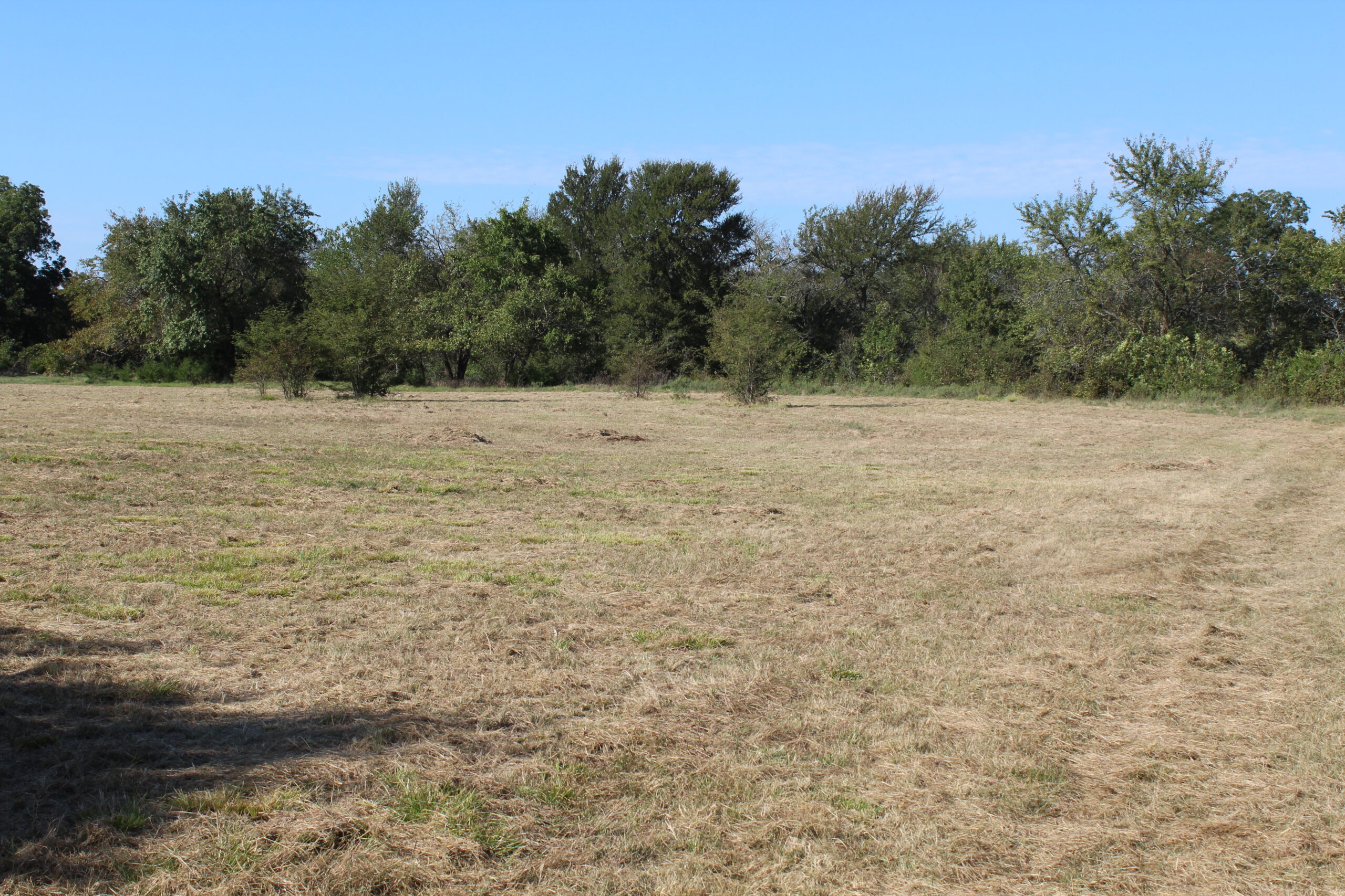 43 Acres for Sale on Pritchard Road, Just Off Hwy 22 North of Bokchito, Oklahoma – Creek, Hunting, and Country Estate Potential