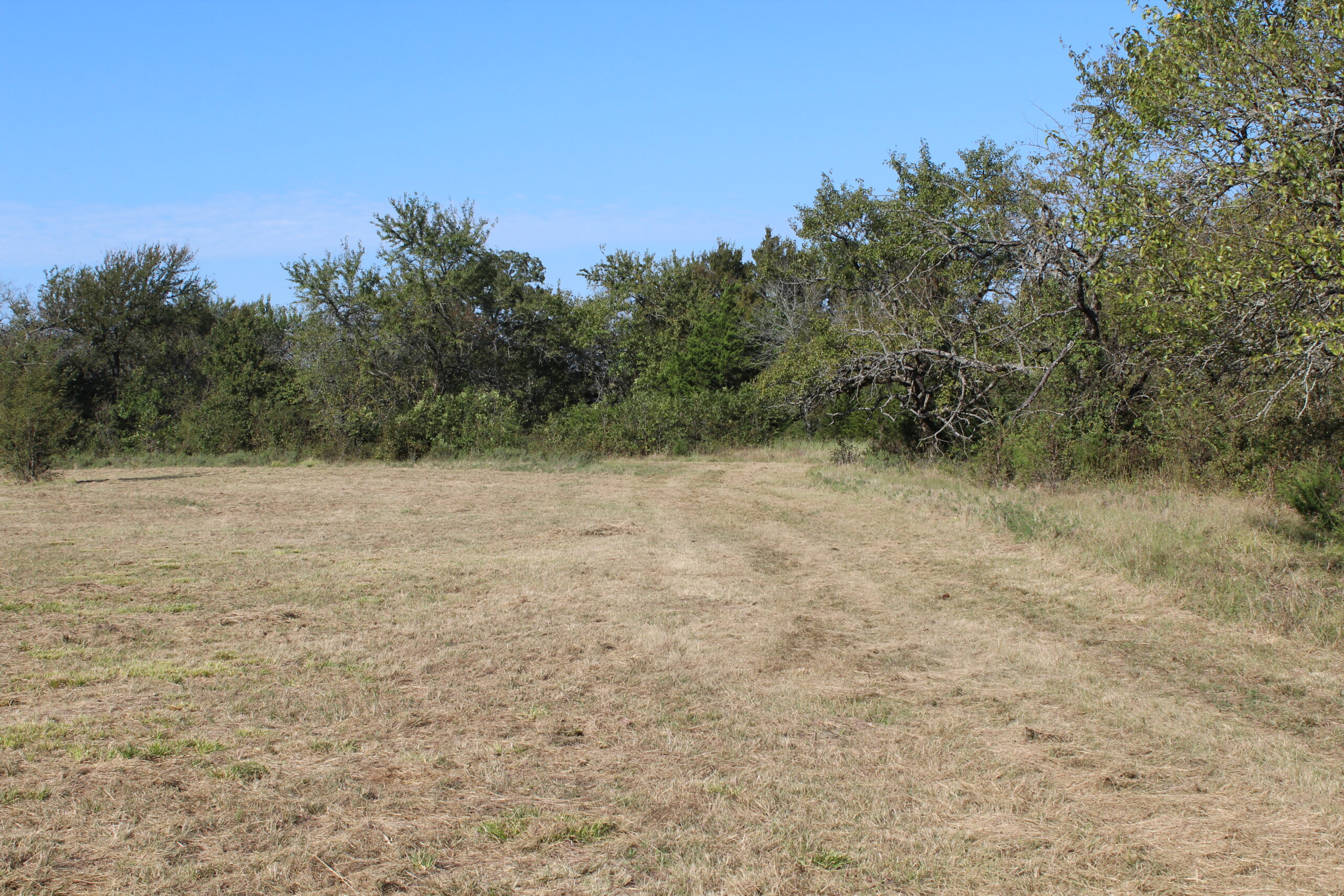 43 Acres for Sale on Pritchard Road, Just Off Hwy 22 North of Bokchito, Oklahoma – Creek, Hunting, and Country Estate Potential