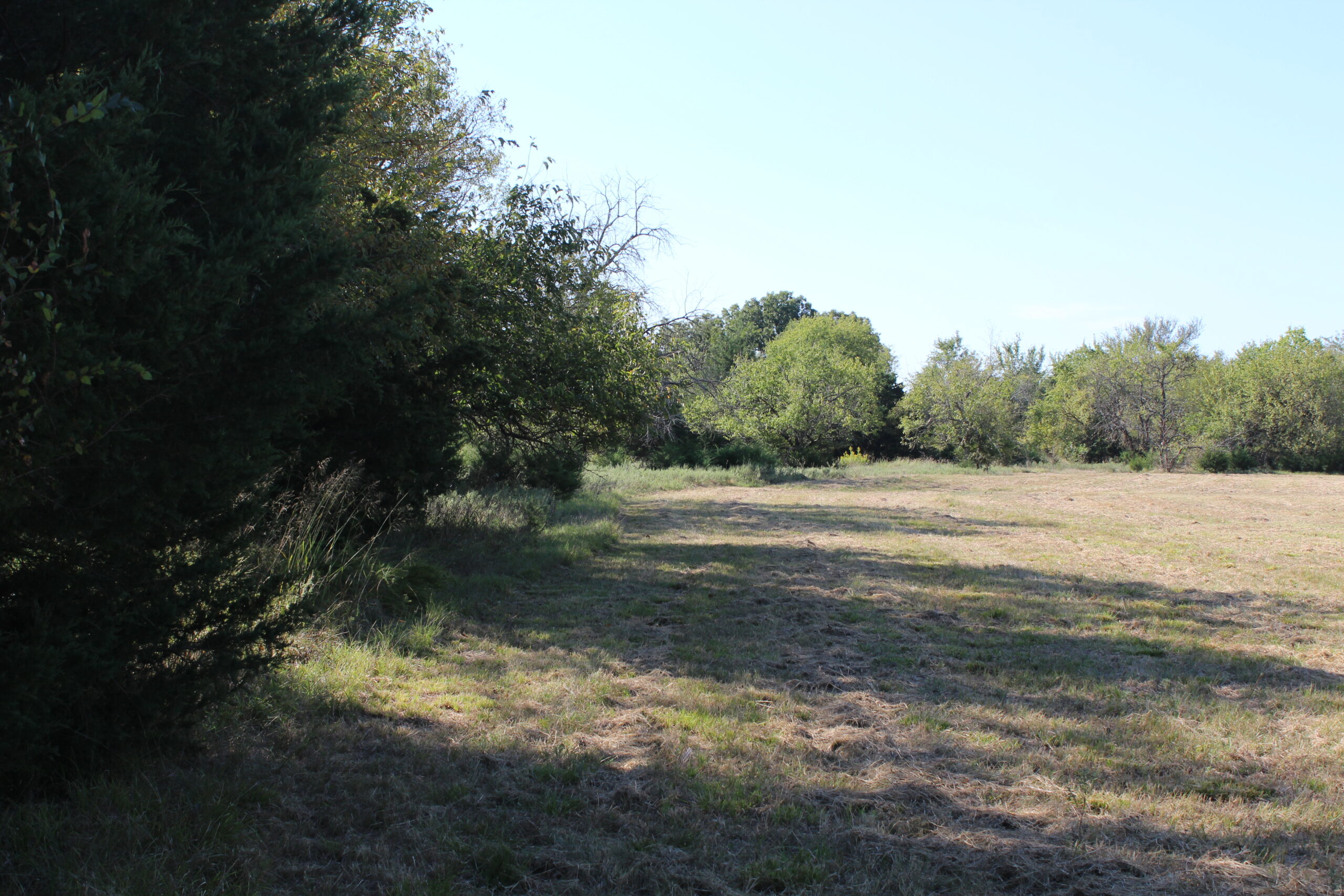 43 Acres for Sale on Pritchard Road, Just Off Hwy 22 North of Bokchito, Oklahoma – Creek, Hunting, and Country Estate Potential