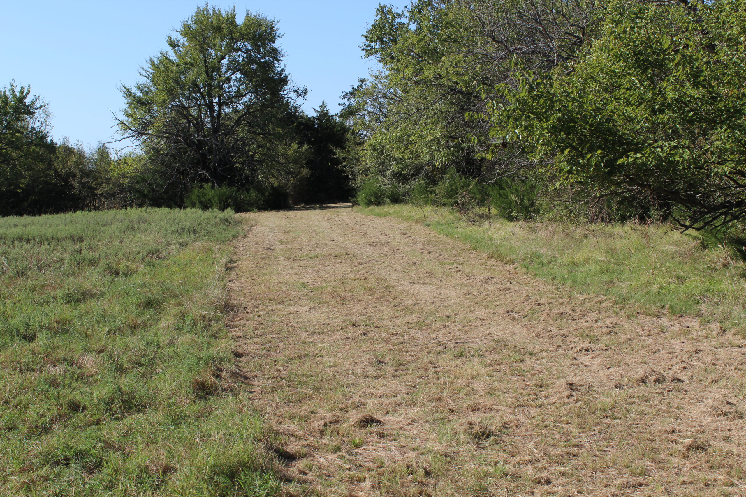 43 Acres for Sale on Pritchard Road, Just Off Hwy 22 North of Bokchito, Oklahoma – Creek, Hunting, and Country Estate Potential