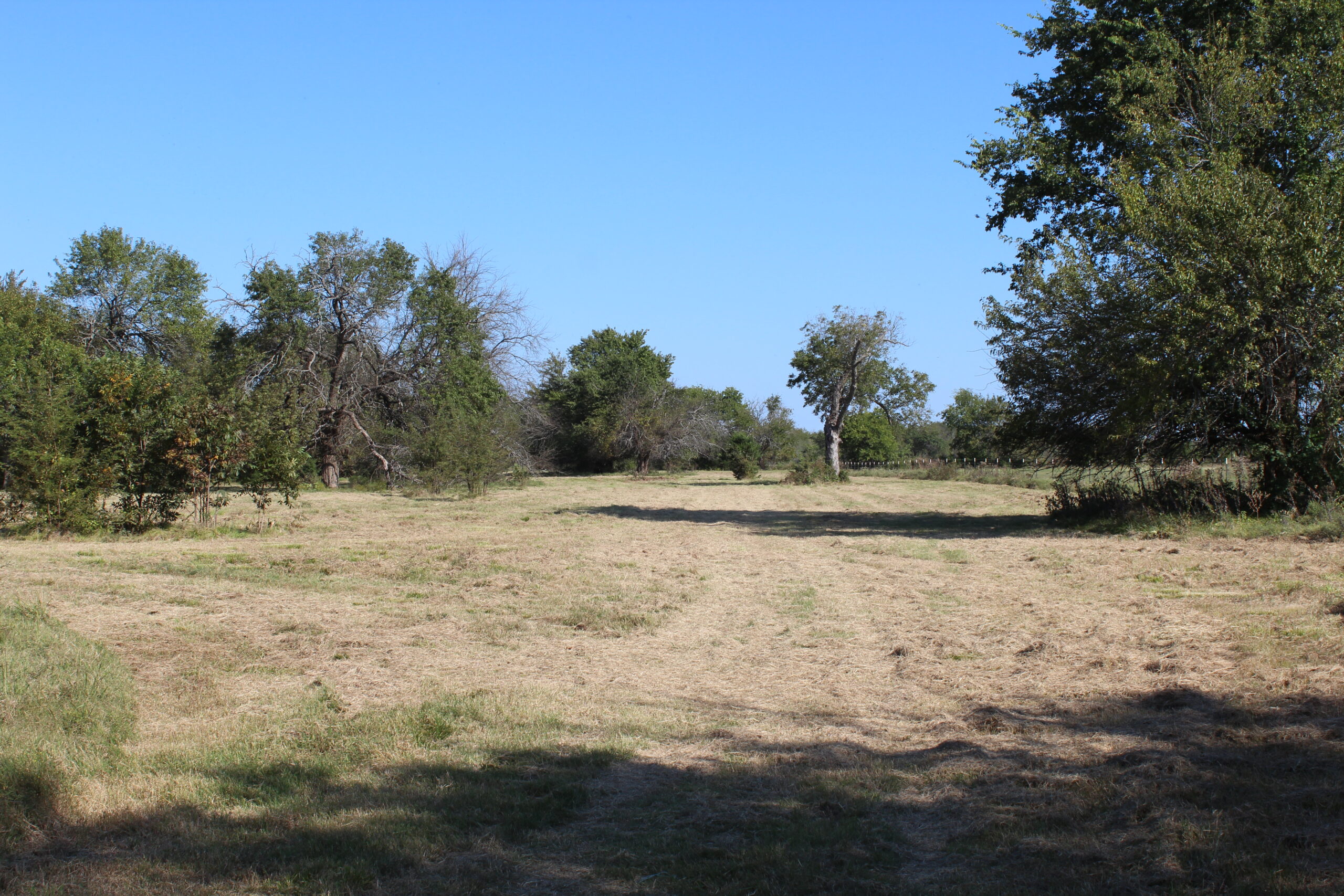 43 Acres for Sale on Pritchard Road, Just Off Hwy 22 North of Bokchito, Oklahoma – Creek, Hunting, and Country Estate Potential