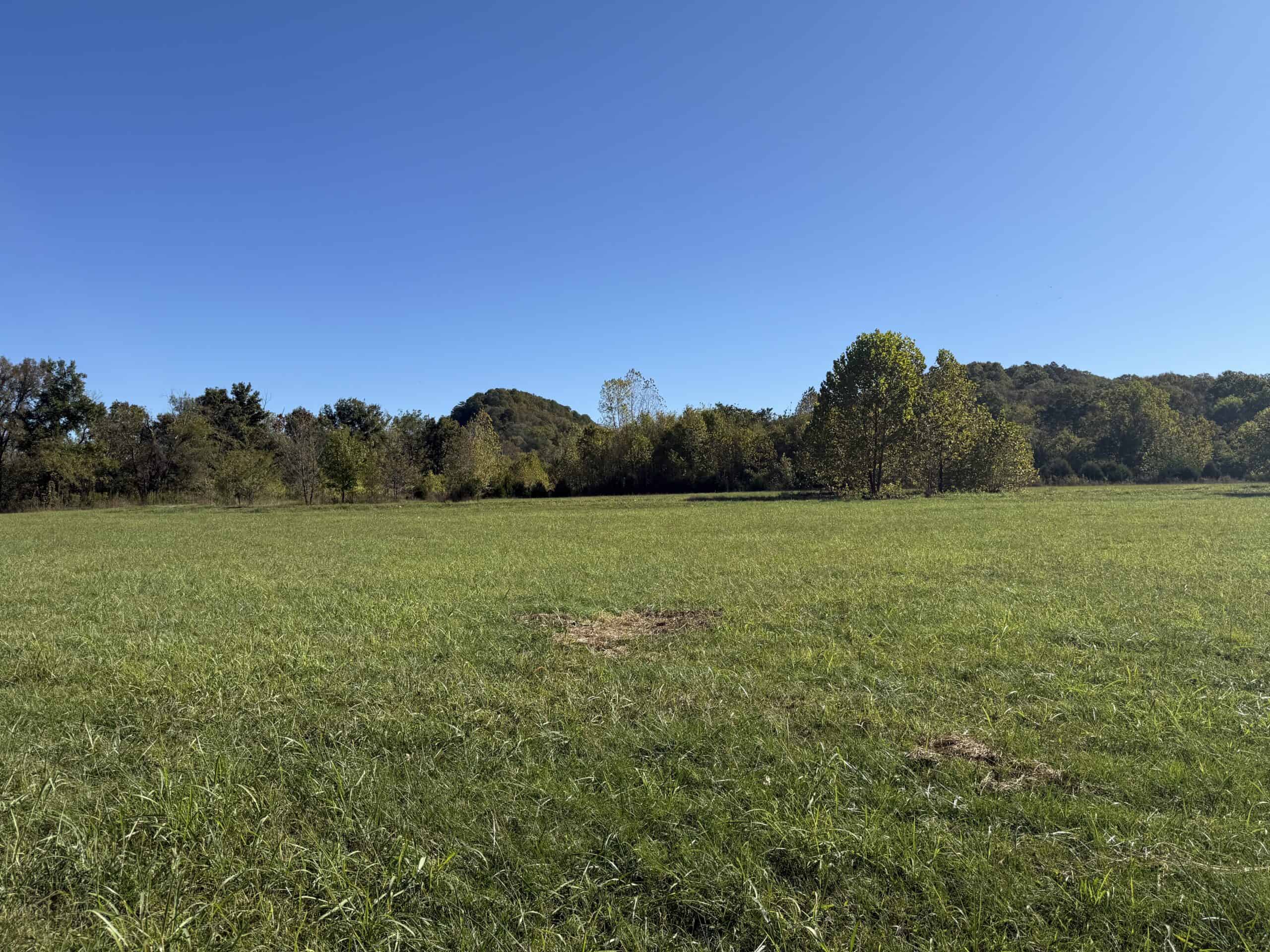 HUNTING & RIVERFRONT LAND FOR SALE IN ARKANSAS