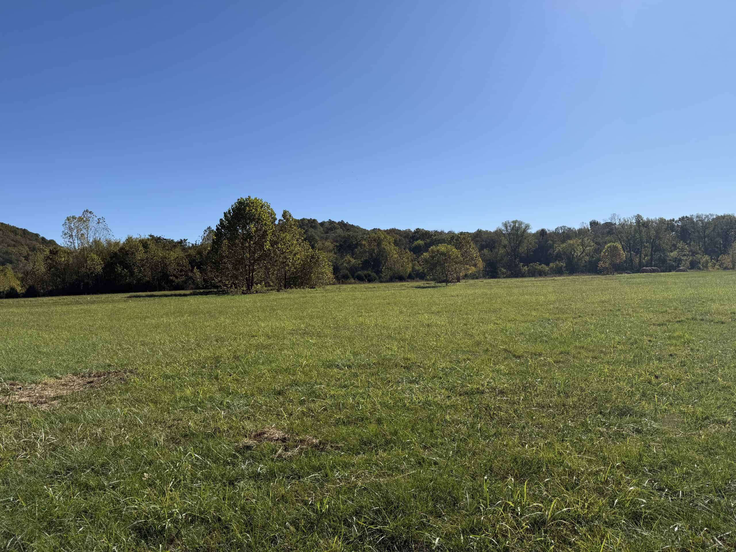HUNTING & RIVERFRONT LAND FOR SALE IN ARKANSAS