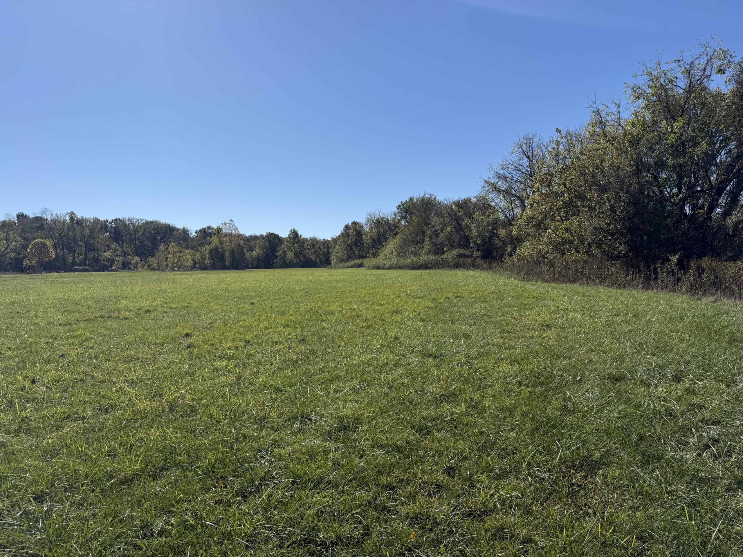 HUNTING & RIVERFRONT LAND FOR SALE IN ARKANSAS