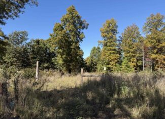 HUNTING LAND WITH SPRING CREEK AND CABIN FOR SALE IN ARKANSAS