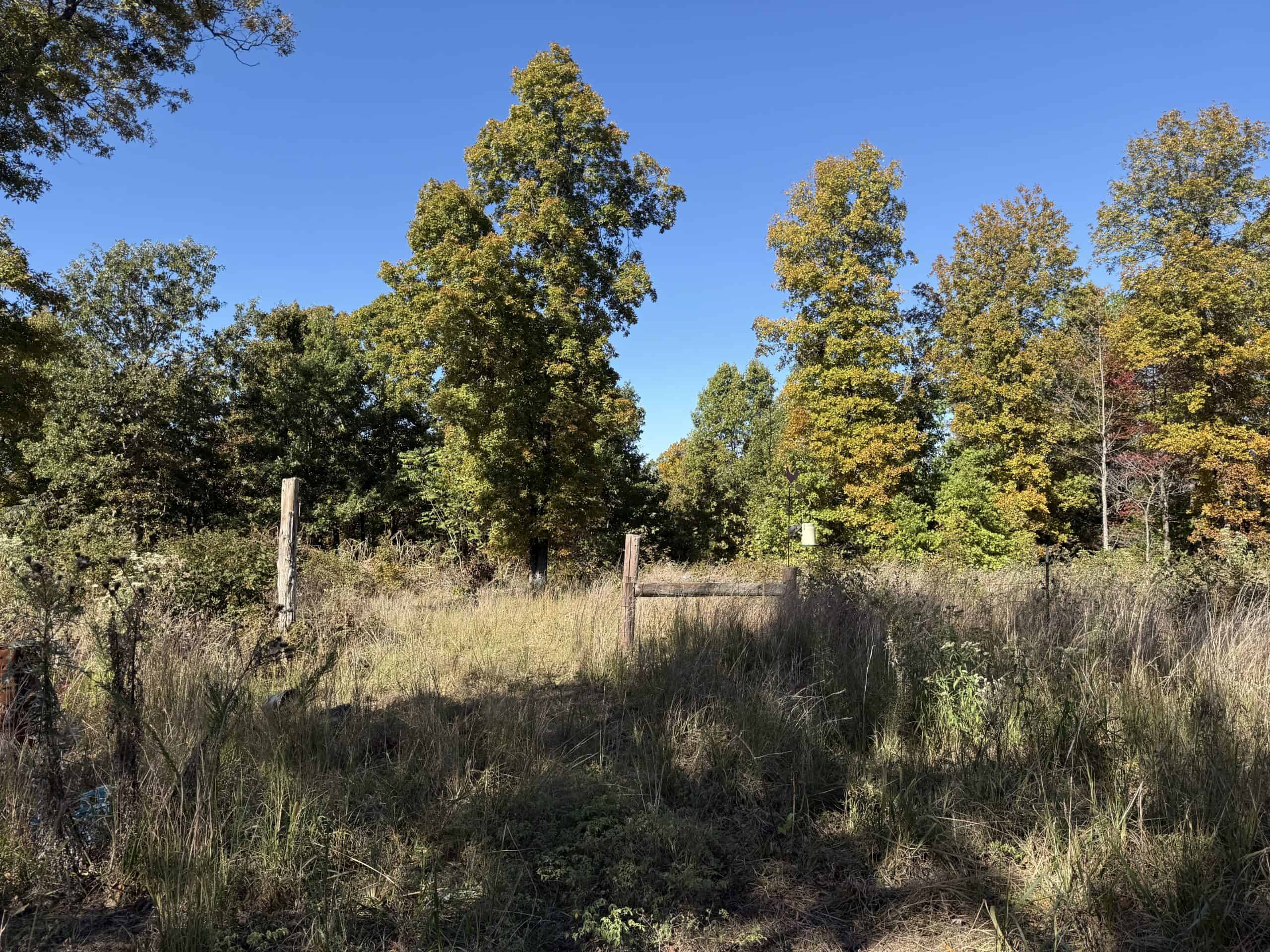 HUNTING LAND WITH SPRING CREEK AND CABIN FOR SALE IN ARKANSAS