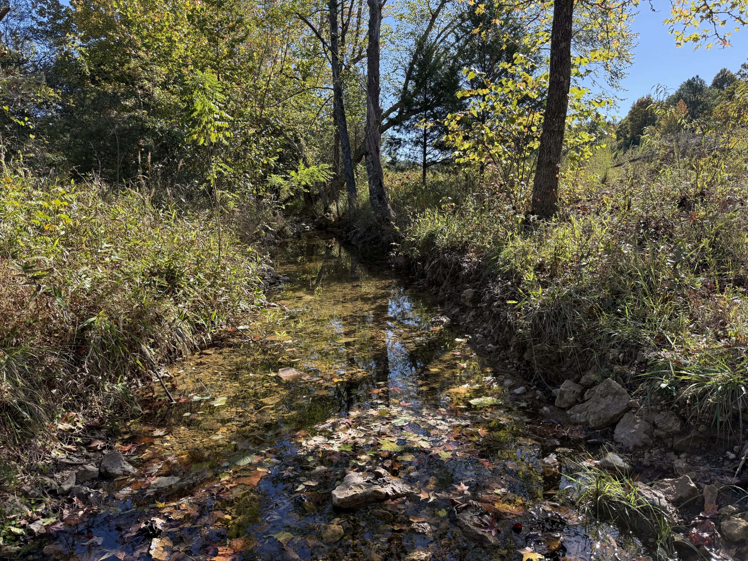 HUNTING LAND WITH SPRING CREEK AND CABIN FOR SALE IN ARKANSAS