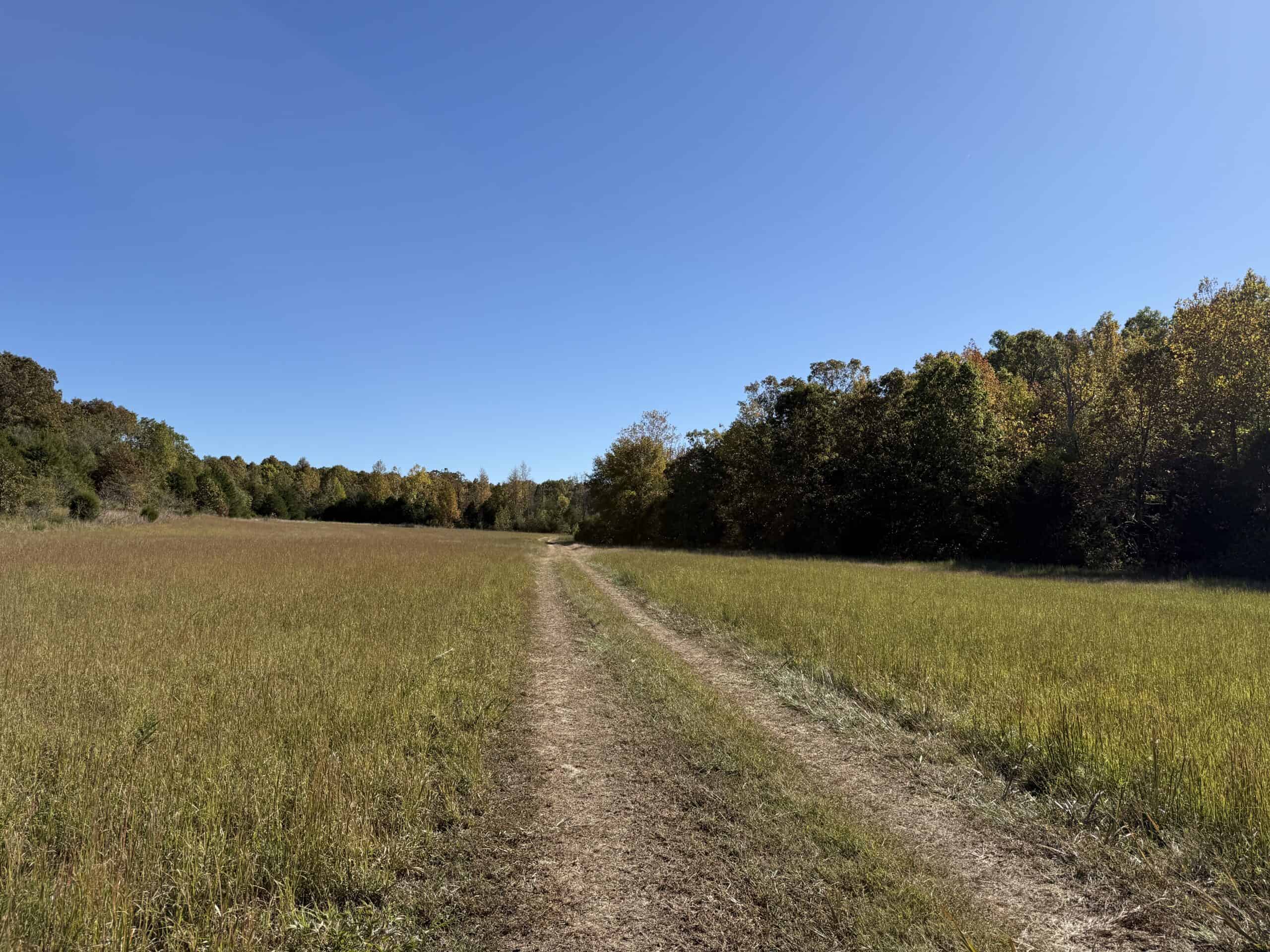 HUNTING LAND WITH SPRING CREEK AND CABIN FOR SALE IN ARKANSAS