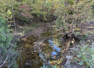 HUNTING LAND WITH SPRING CREEK AND CABIN FOR SALE IN ARKANSAS