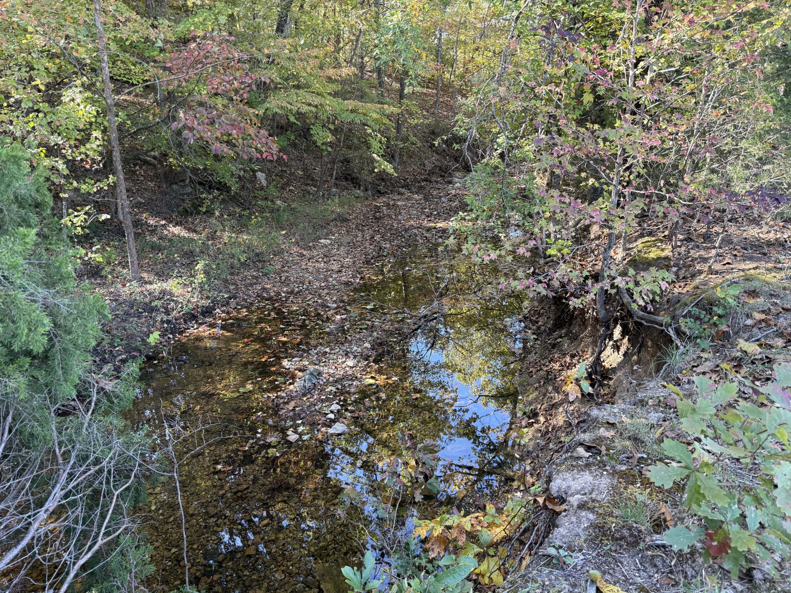 HUNTING LAND WITH SPRING CREEK AND CABIN FOR SALE IN ARKANSAS