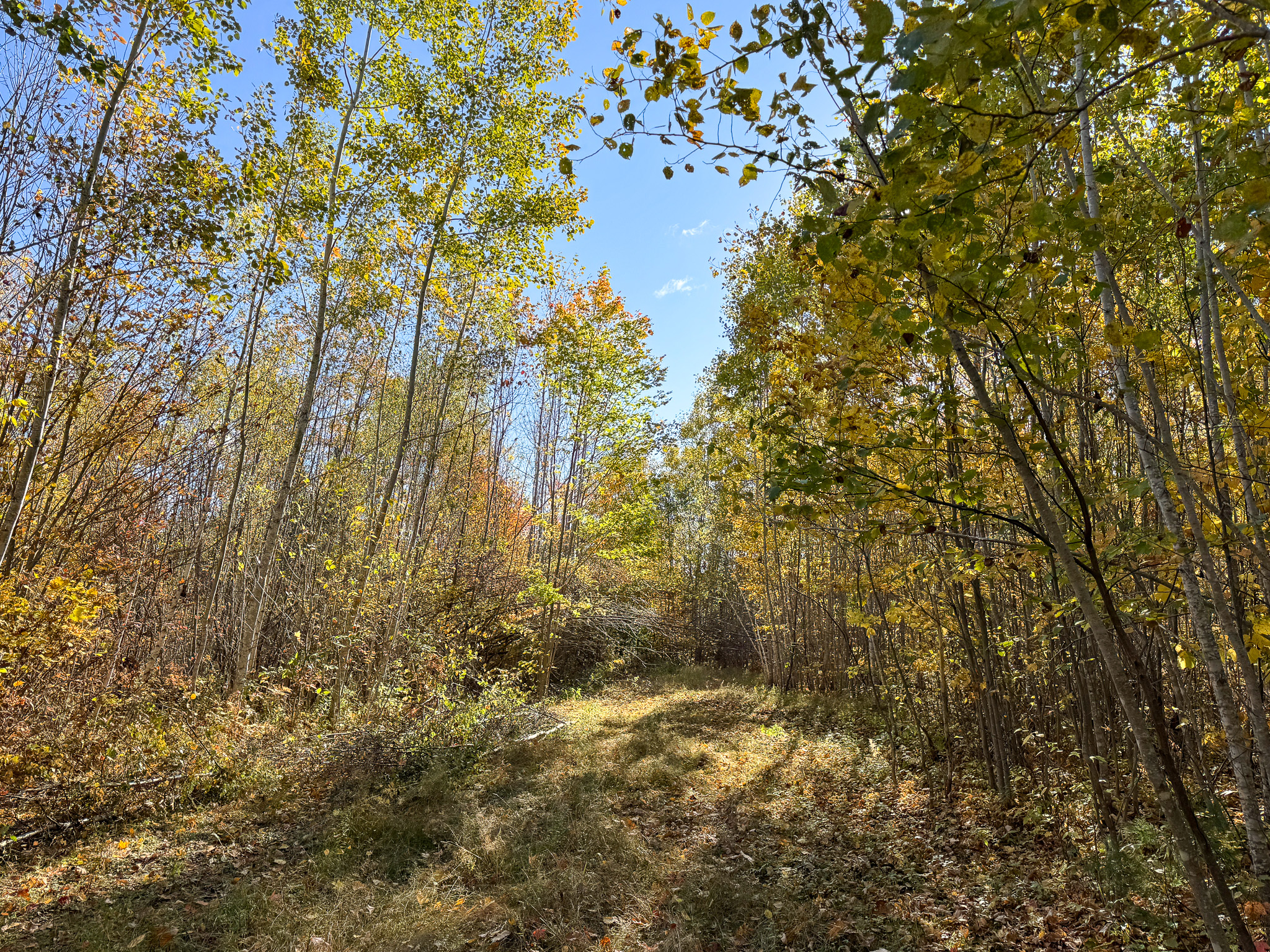140 Acre Parcel – Bradford, Maine