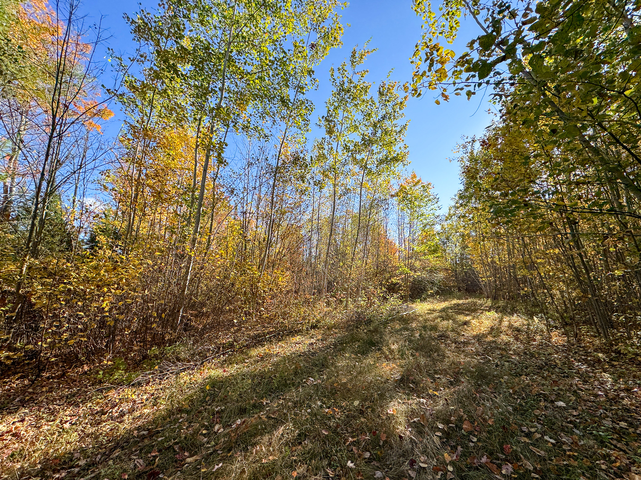 140 Acre Parcel – Bradford, Maine
