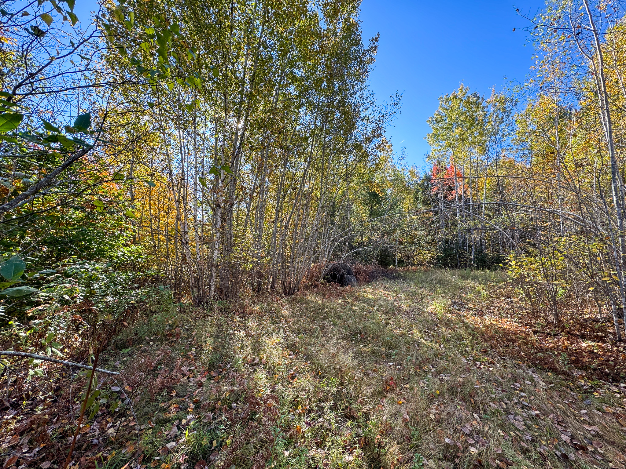 140 Acre Parcel – Bradford, Maine