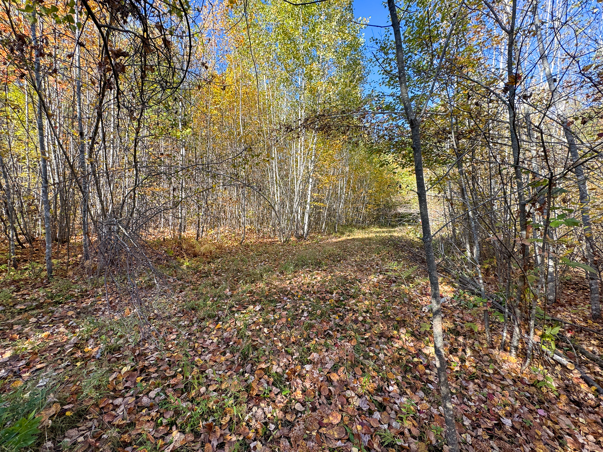 140 Acre Parcel – Bradford, Maine