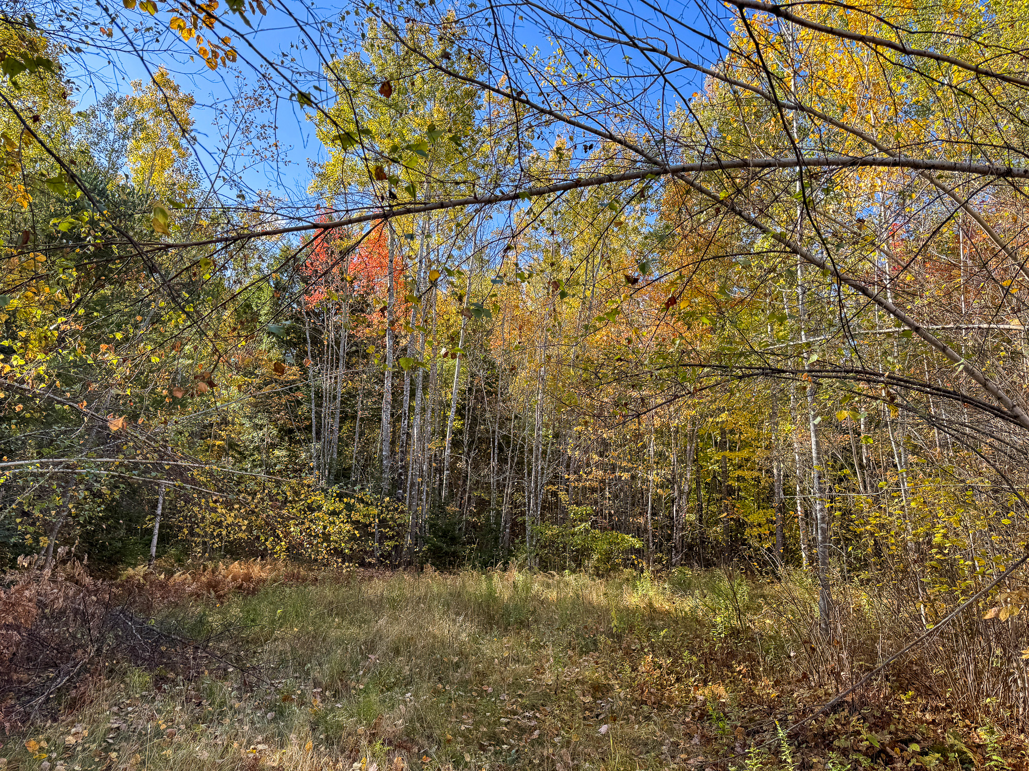 140 Acre Parcel – Bradford, Maine