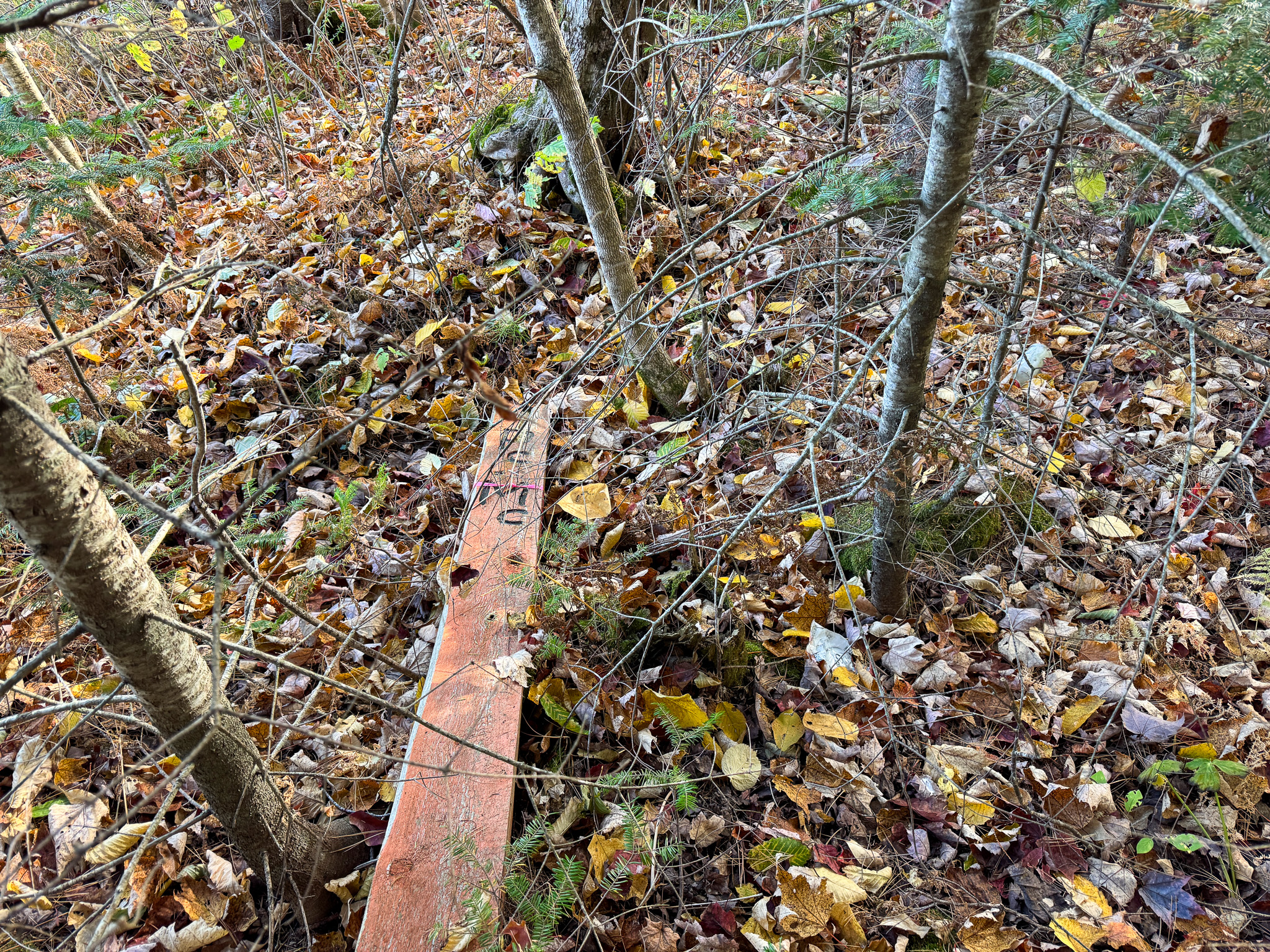 140 Acre Parcel – Bradford, Maine