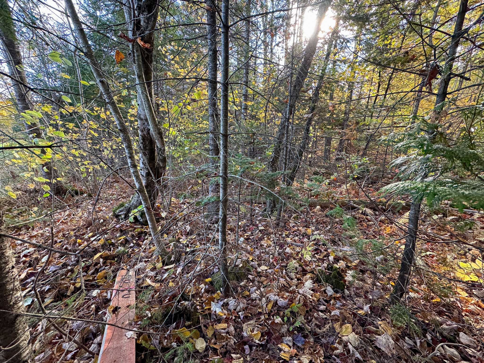 140 Acre Parcel – Bradford, Maine
