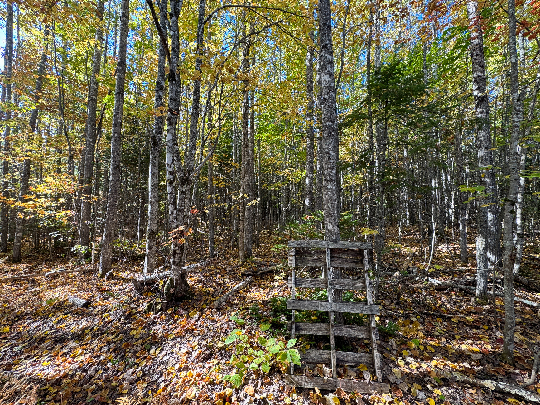140 Acre Parcel – Bradford, Maine