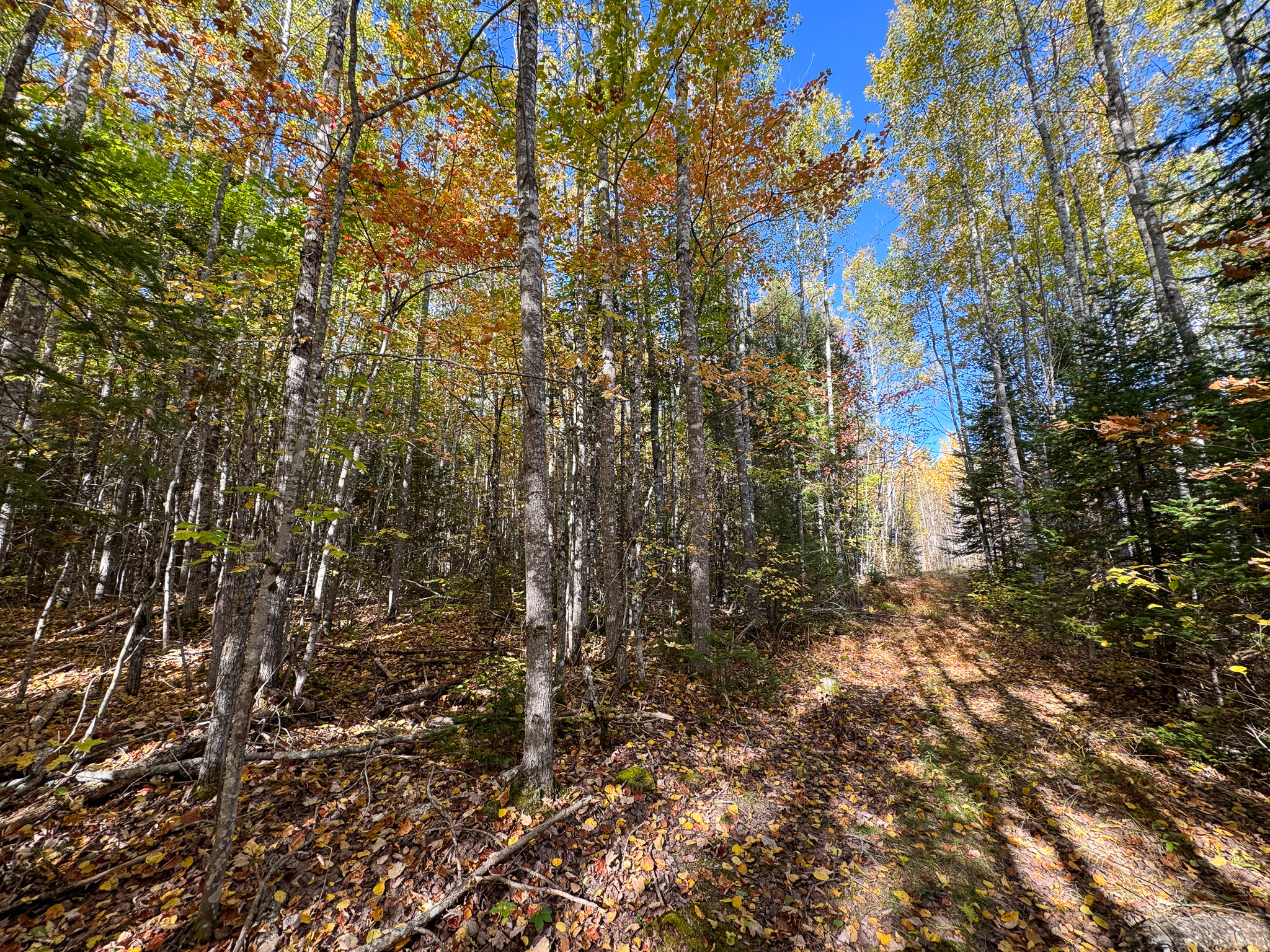 140 Acre Parcel – Bradford, Maine