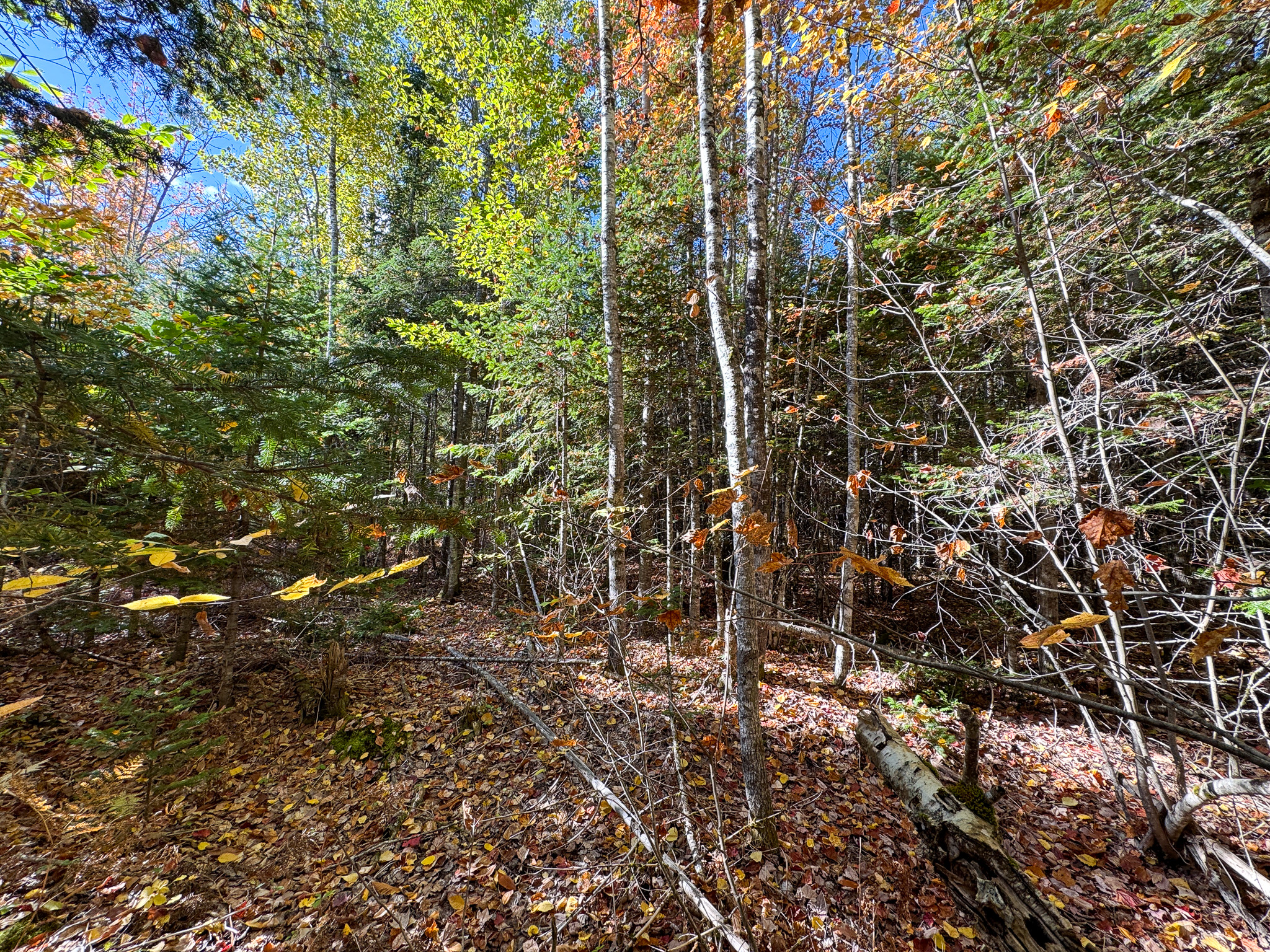 140 Acre Parcel – Bradford, Maine