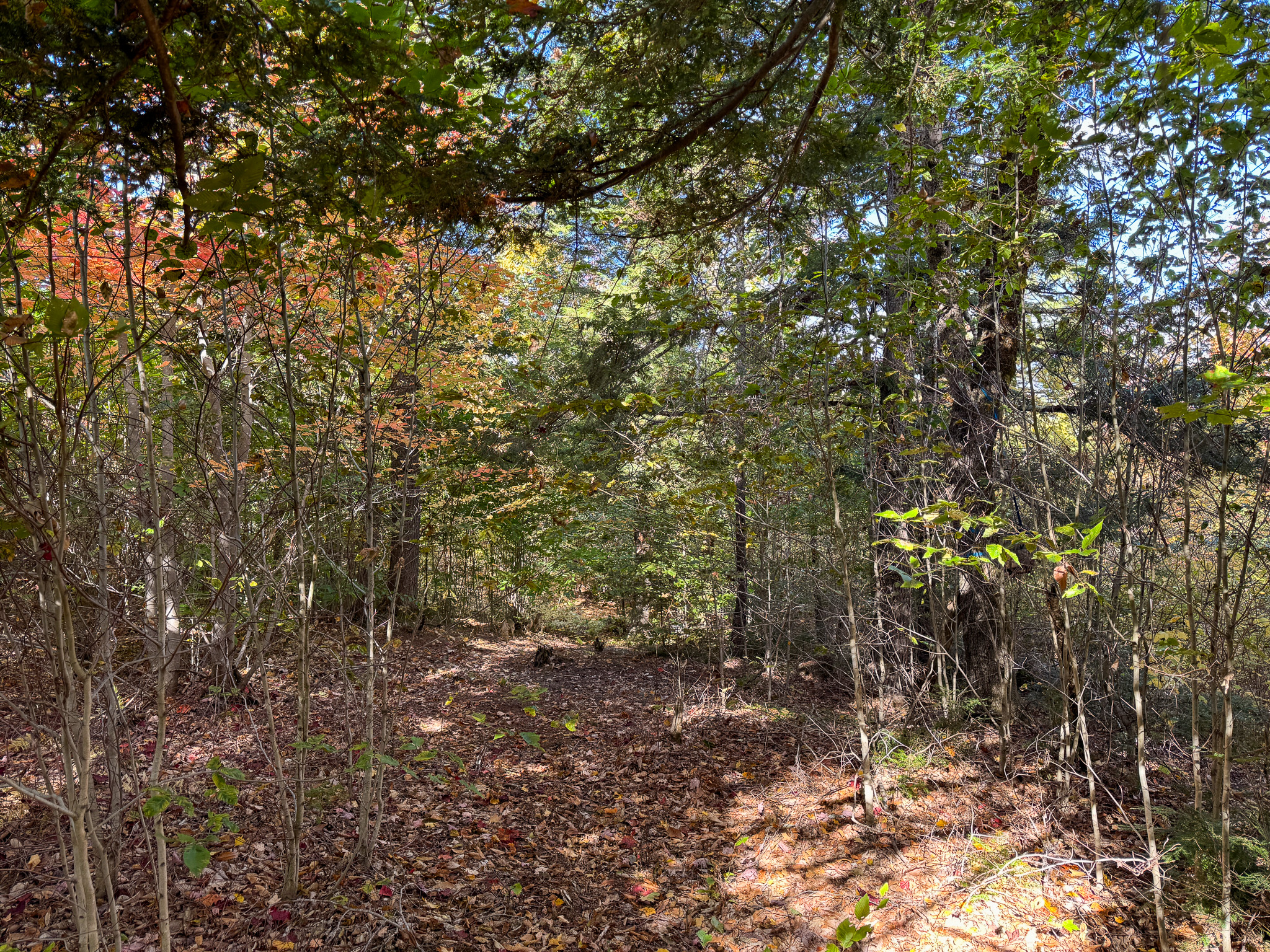 140 Acre Parcel – Bradford, Maine