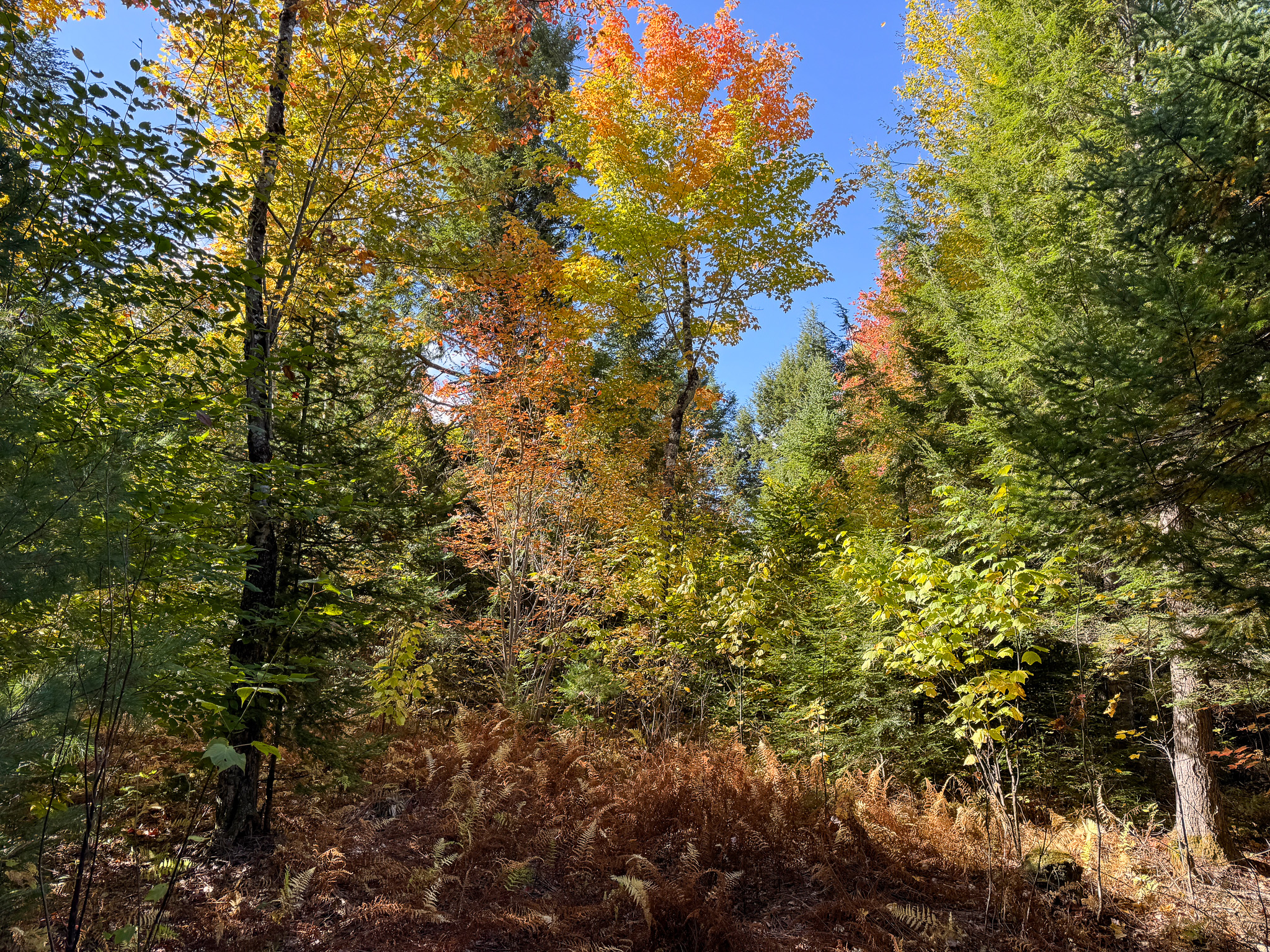 140 Acre Parcel – Bradford, Maine