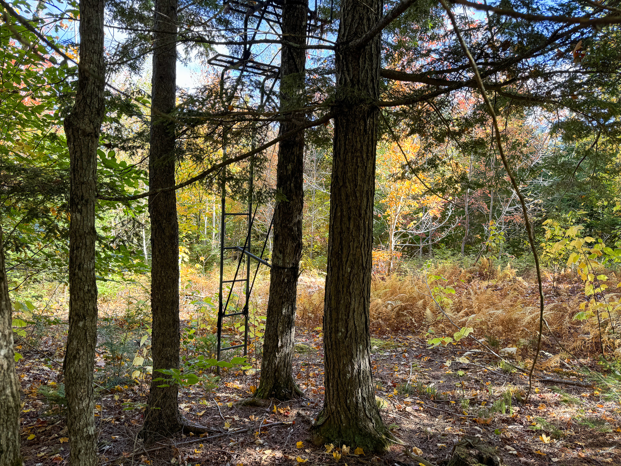 140 Acre Parcel – Bradford, Maine