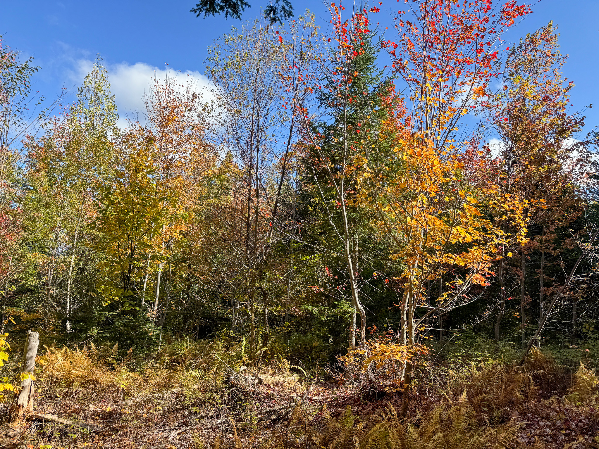 140 Acre Parcel – Bradford, Maine