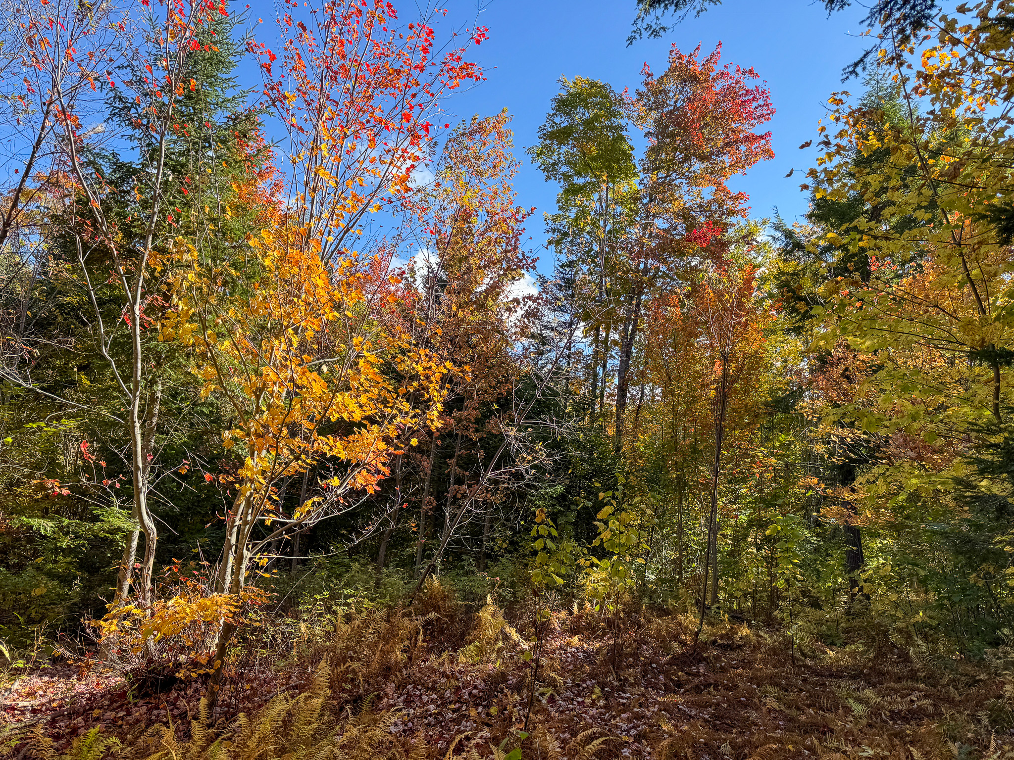 140 Acre Parcel – Bradford, Maine