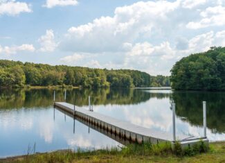 1,219 Acres of Land, Timber & Improvements Selling At Absolute Auction – Former Girl Scout Kamp Kiwani