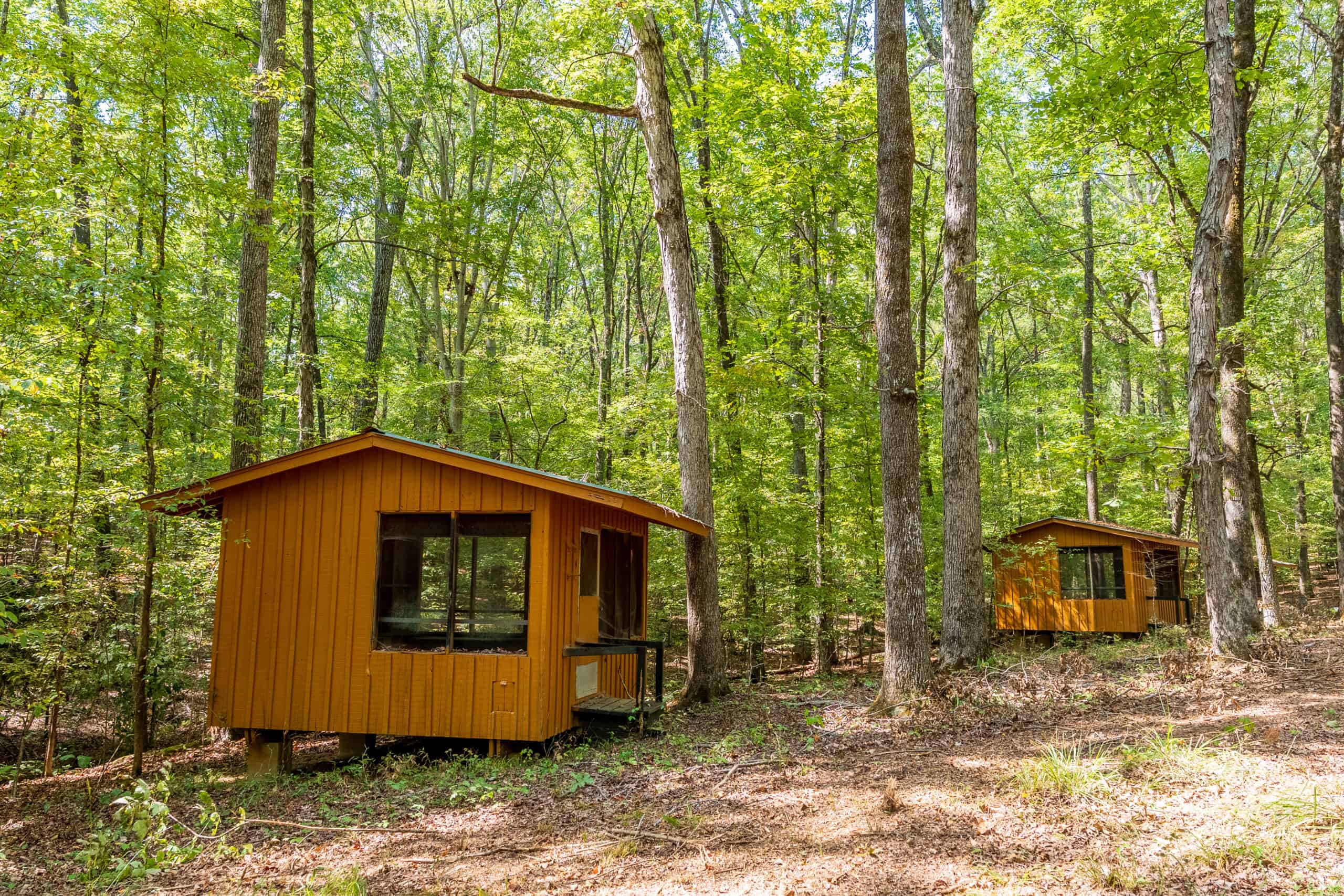 1,219 Acres of Land, Timber & Improvements Selling At Absolute Auction – Former Girl Scout Kamp Kiwani