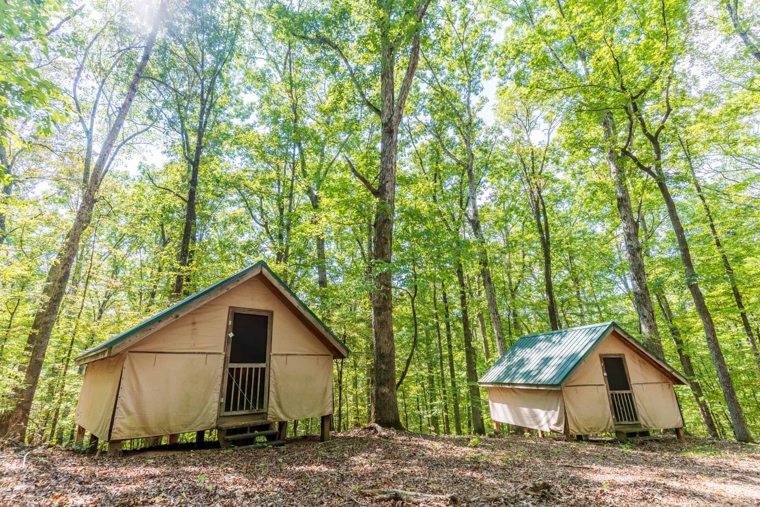 1,219 Acres of Land, Timber & Improvements Selling At Absolute Auction – Former Girl Scout Kamp Kiwani